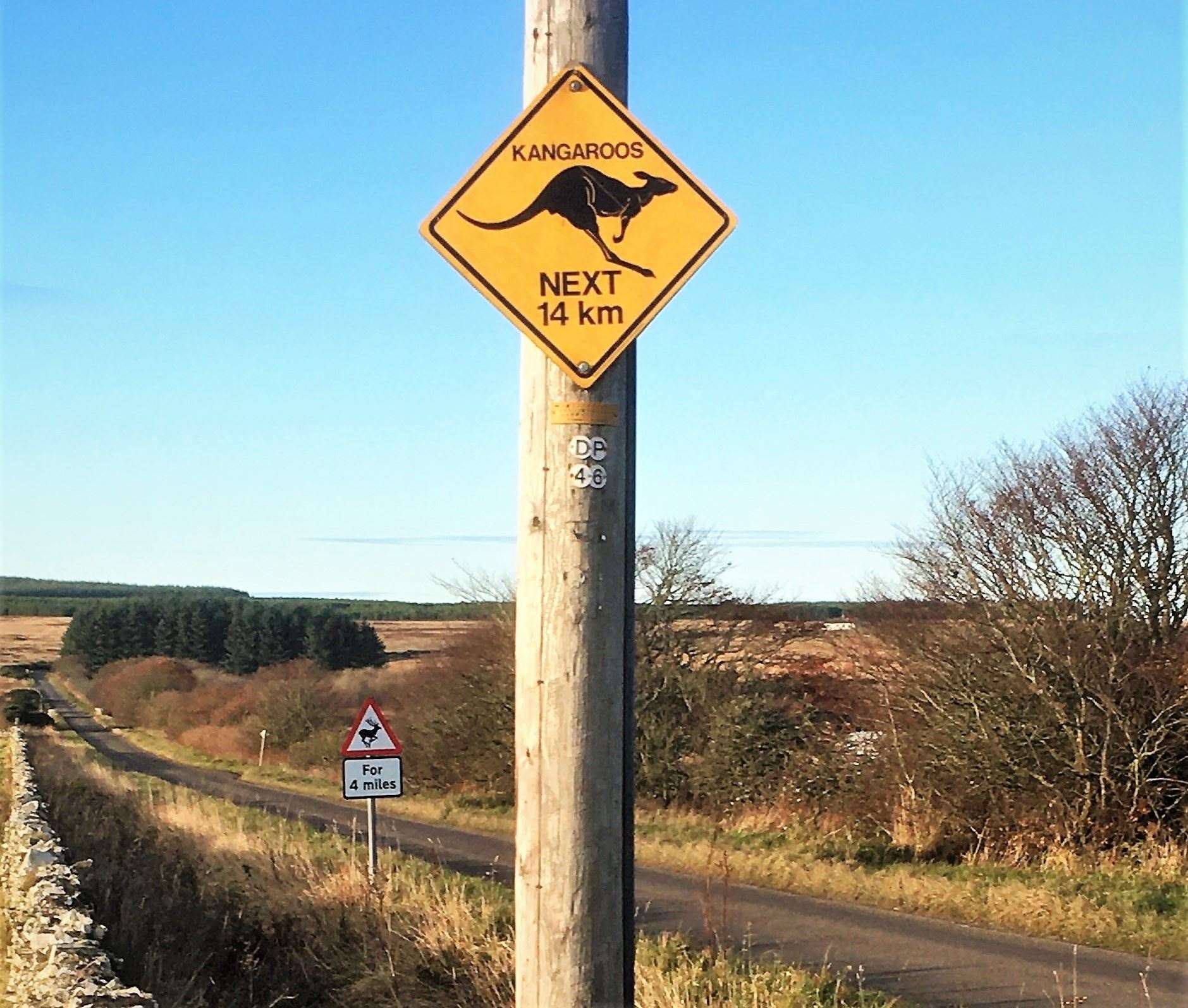 Lynn Ellis from Thrumster sent in this picture of a rather unusual road sign that's appeared on the Tannach road.