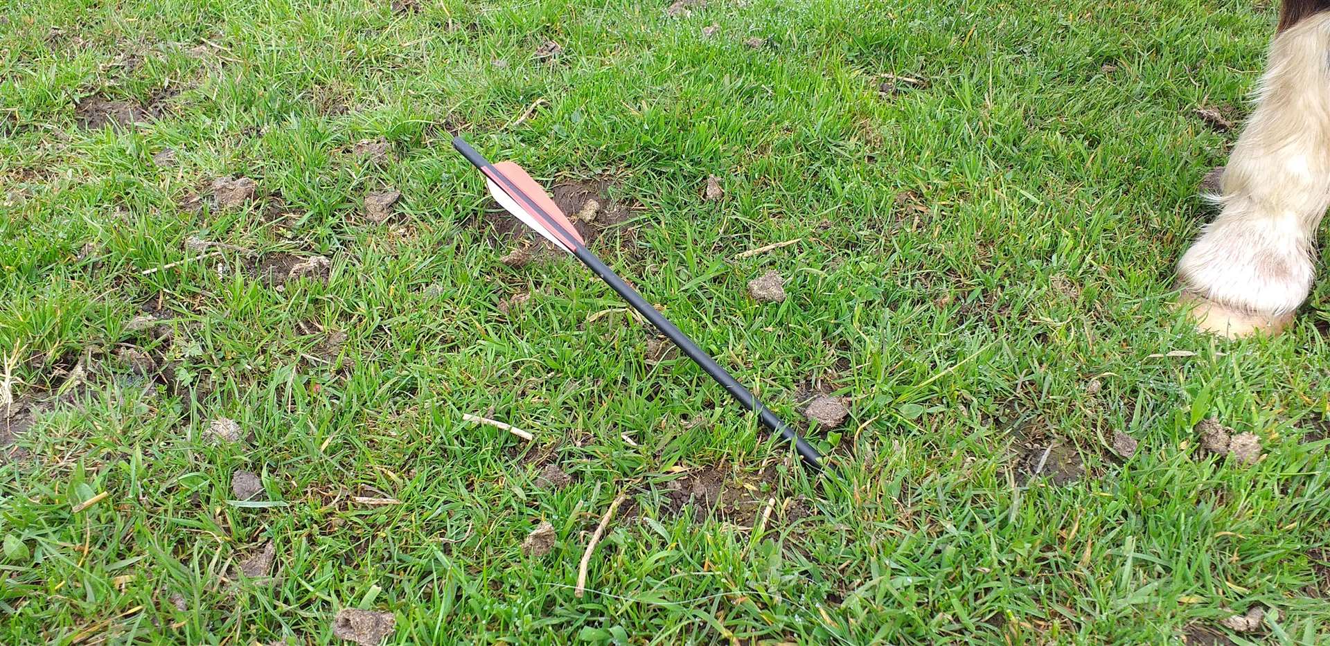 The crossbow bolt discovered in the field at Knockglass Farm and Stables.