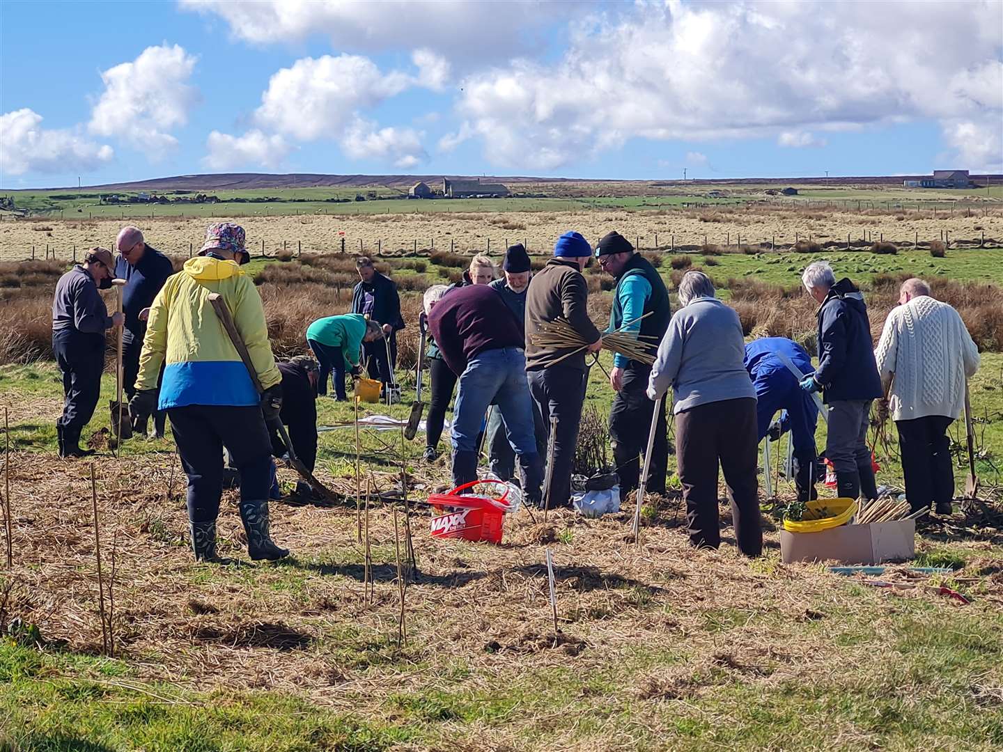 Approximately 400 trees were planted near the mill at John O'Groats on Saturday.