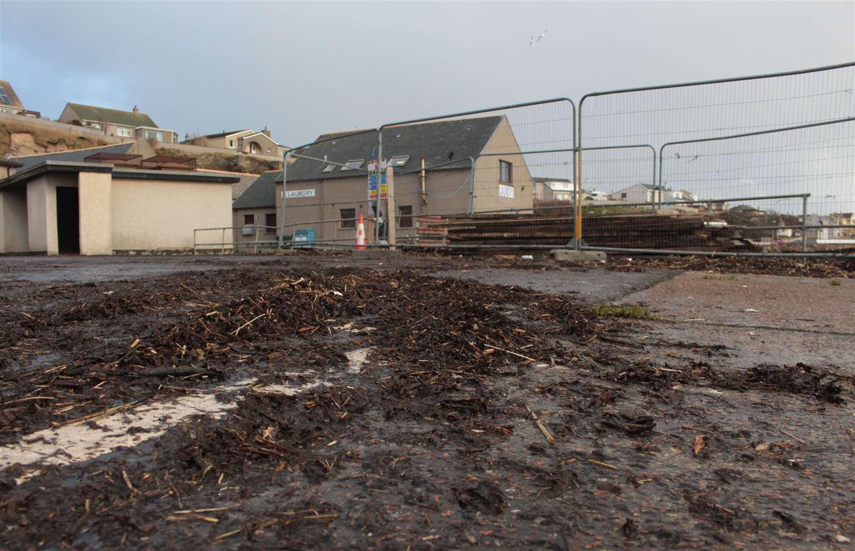 Seaweed scattered across the surface of the car park at the Camps.