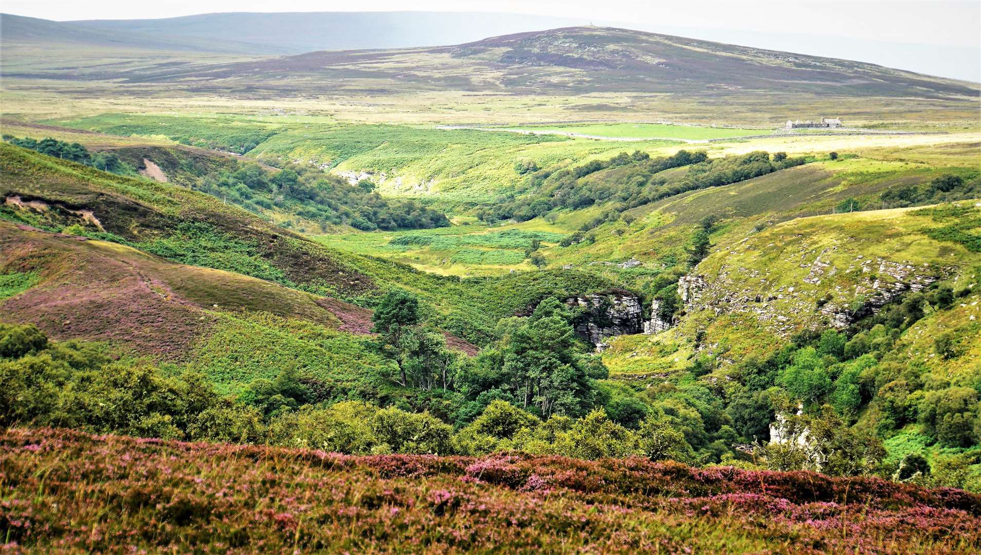 Countryside like this at Berriedale could benefit from national park status. Picture: DGS