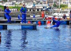 The much-anticipated tug-of-war resulted in a dip in the harbour for the coastgards, after they lost out to the lifeboat team.