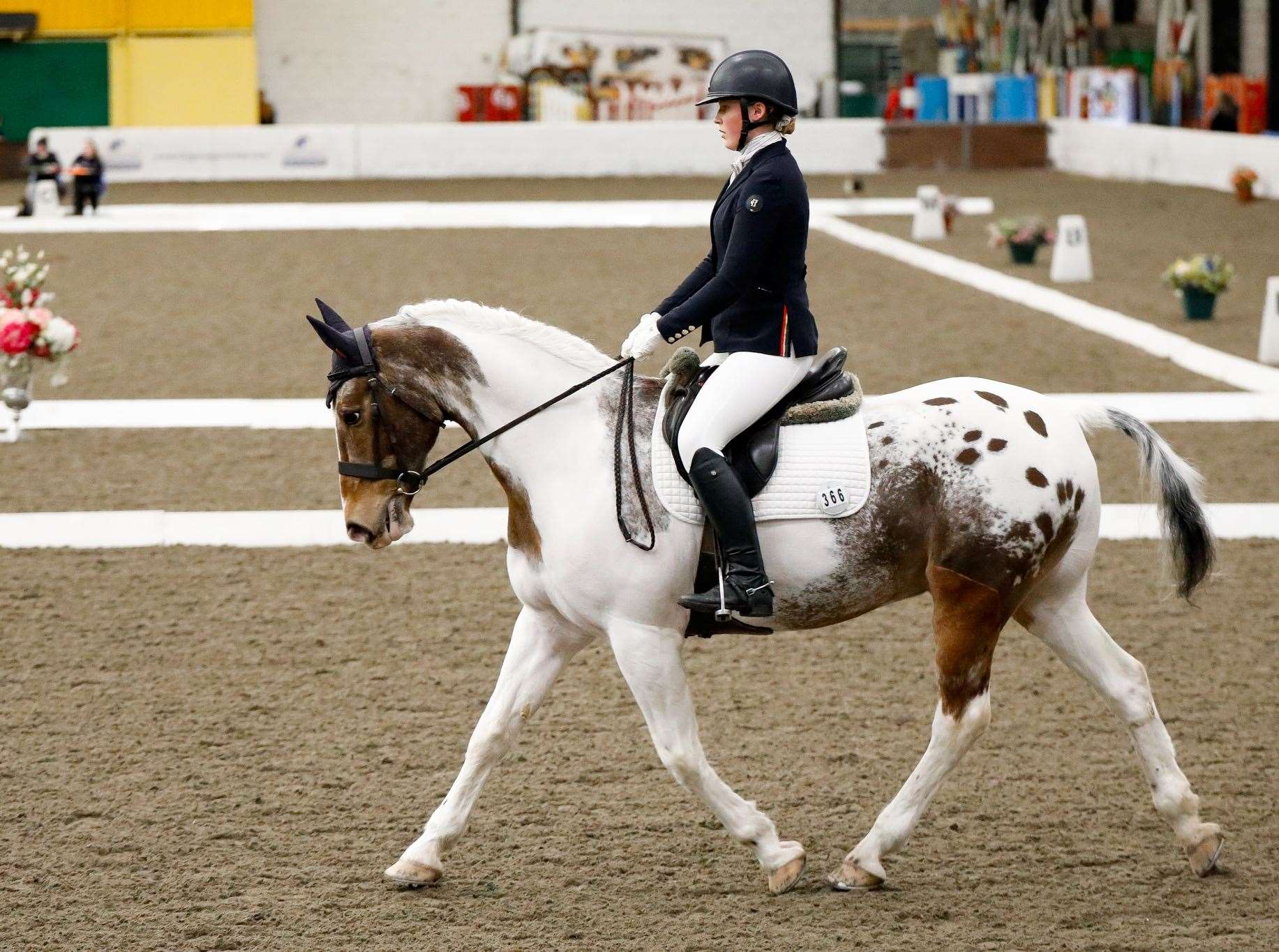 Erin Hewitson competing in the dressage. Picture: Jamie Agnew Photography