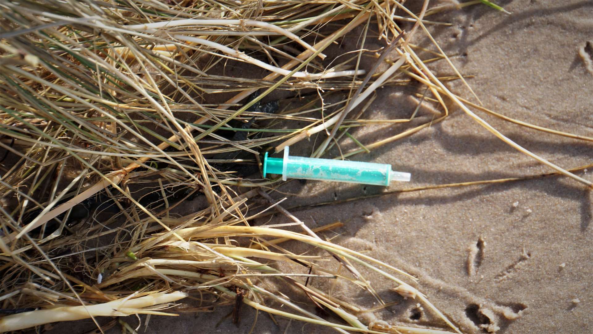A plastic syringe that found its way on to the beach. Picture: DGS