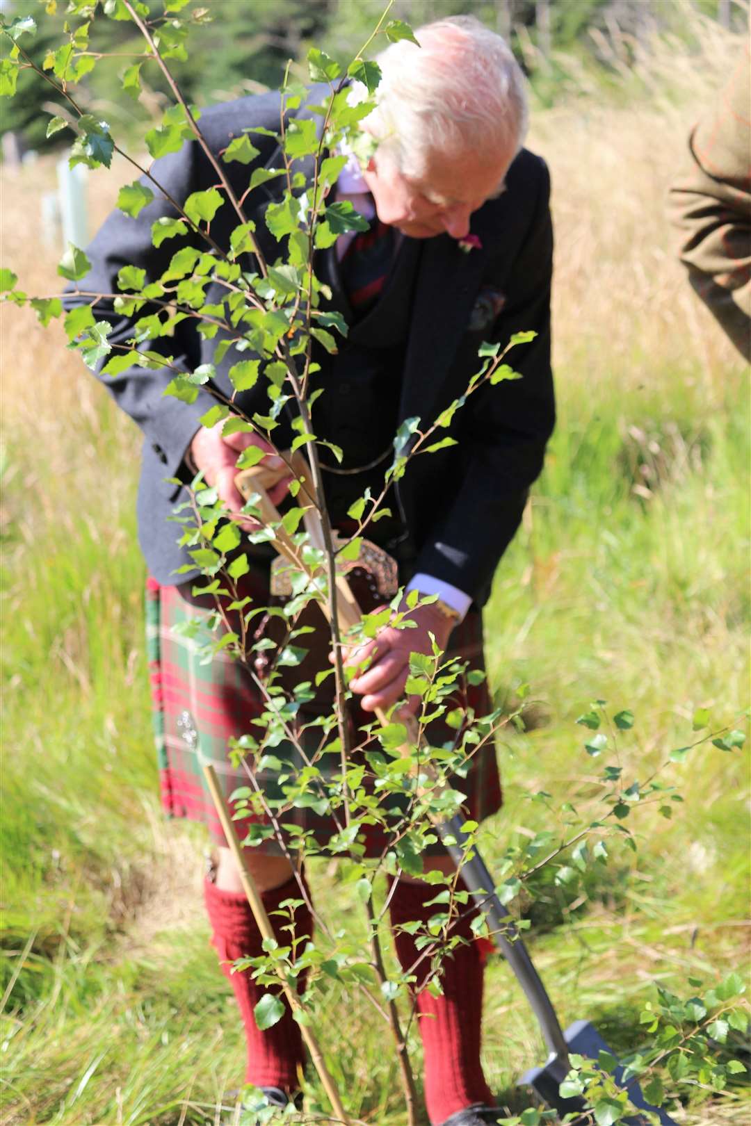 Prince Charles plants a tree at Dunnet Forest during his recent visit to the county.