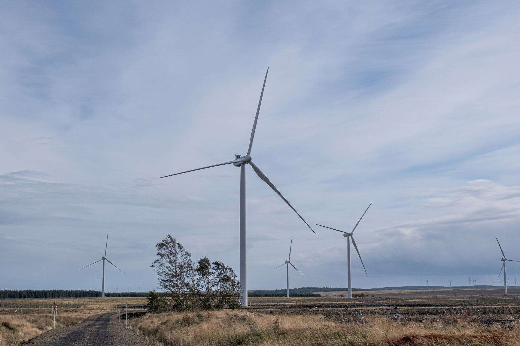 Halsary wind farm was built by ScottishPower Renewables to support the green energy needs of Tesco.
