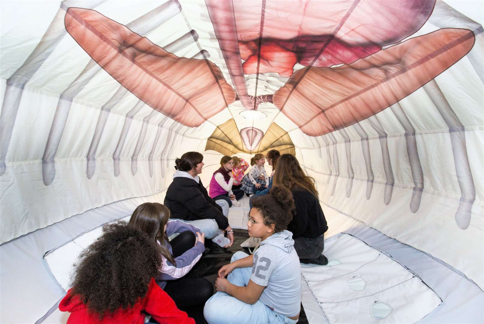 Getting the Jonah experience inside a life-size blow-up model of a humpback whale. Photo: Robert MacDonald/Northern Studios