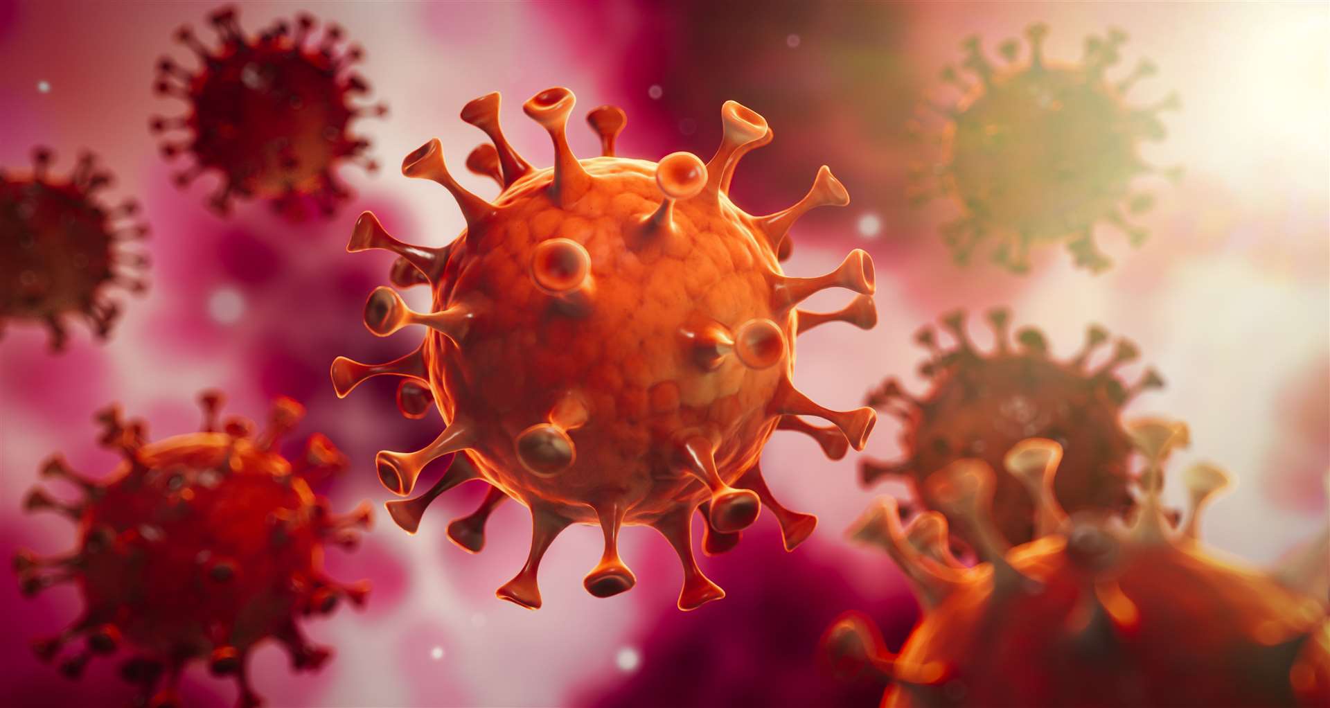 There is currently no specific treatment or vaccine for coronavirus (Covid-19).