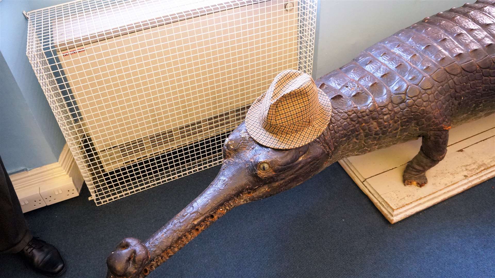The well-kent crocodile from the former library was at the event too. Picture: DGS