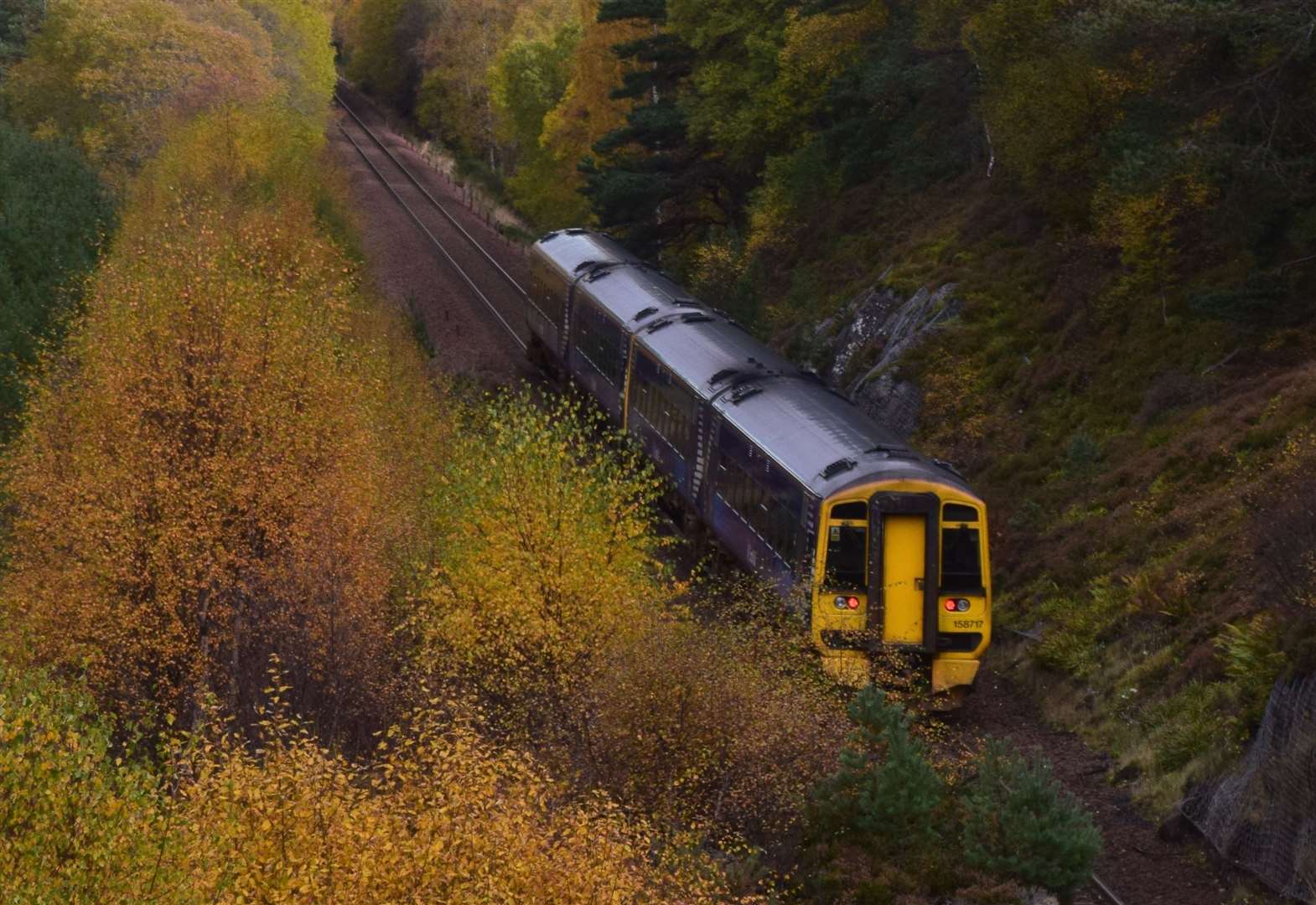 A ScotRail train travelling on the Highland mainline, to the north of Carrbridge. Picture: Philip Murray.