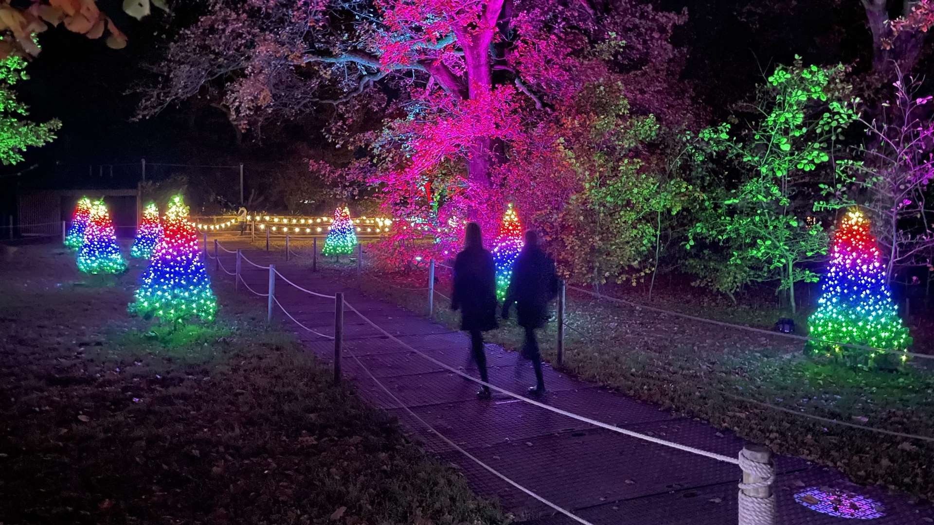 The immersive displays use more than 500,000 lights in a rainbow of colours (Ben Mitchell/PA)