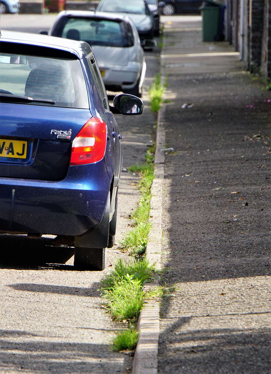 Grass and weeds growing beside parked cars on Moray Street in Wick. Pictures: DGS