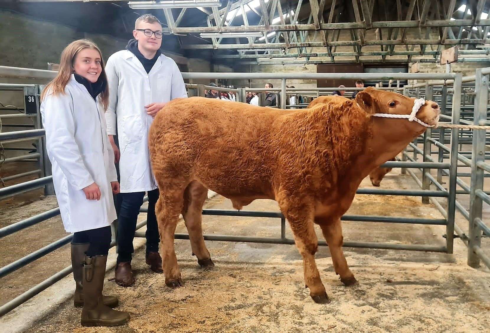 Senior winners of the Beef Cattle Dressing Competition are, from left, Hannah Lorimer and Craig Coutts with their calf.