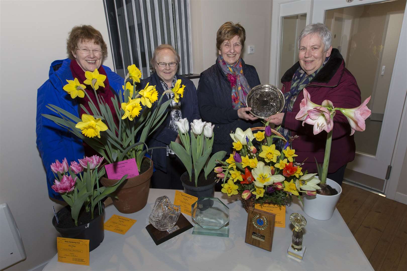Marion Sutherland (second right) had a clean sweep of the trophies at Reiss Gardening Club's annual bulb show. She received the trophies for most points in bulbs, most points in floral art and most points in baking and preserves, as well as the best exhibit trophy – meaning that the winner of the trophy for most points overall was never in any doubt. She received her trophies from Lorna Swanson, one of the judges. Looking on are the other two judges, Mary Shearer (left) and Anne Gunn. Picture: Robert MacDonald / Northern Studios