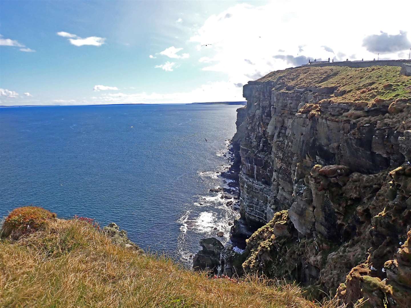 Dunnet Head - puffin territory