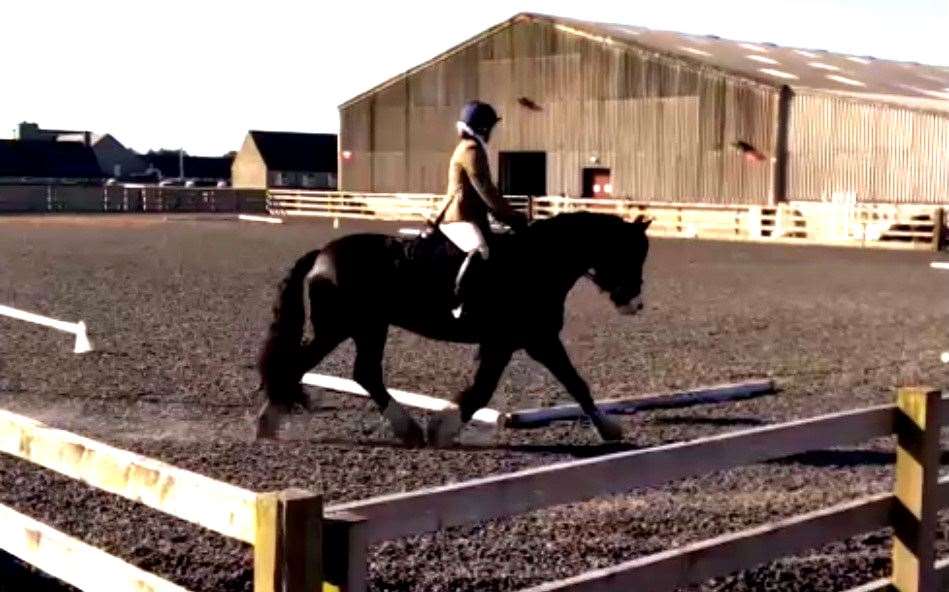Fearne McCarthy and Boo taking part in a previous competition at the indoor school, Halkirk.