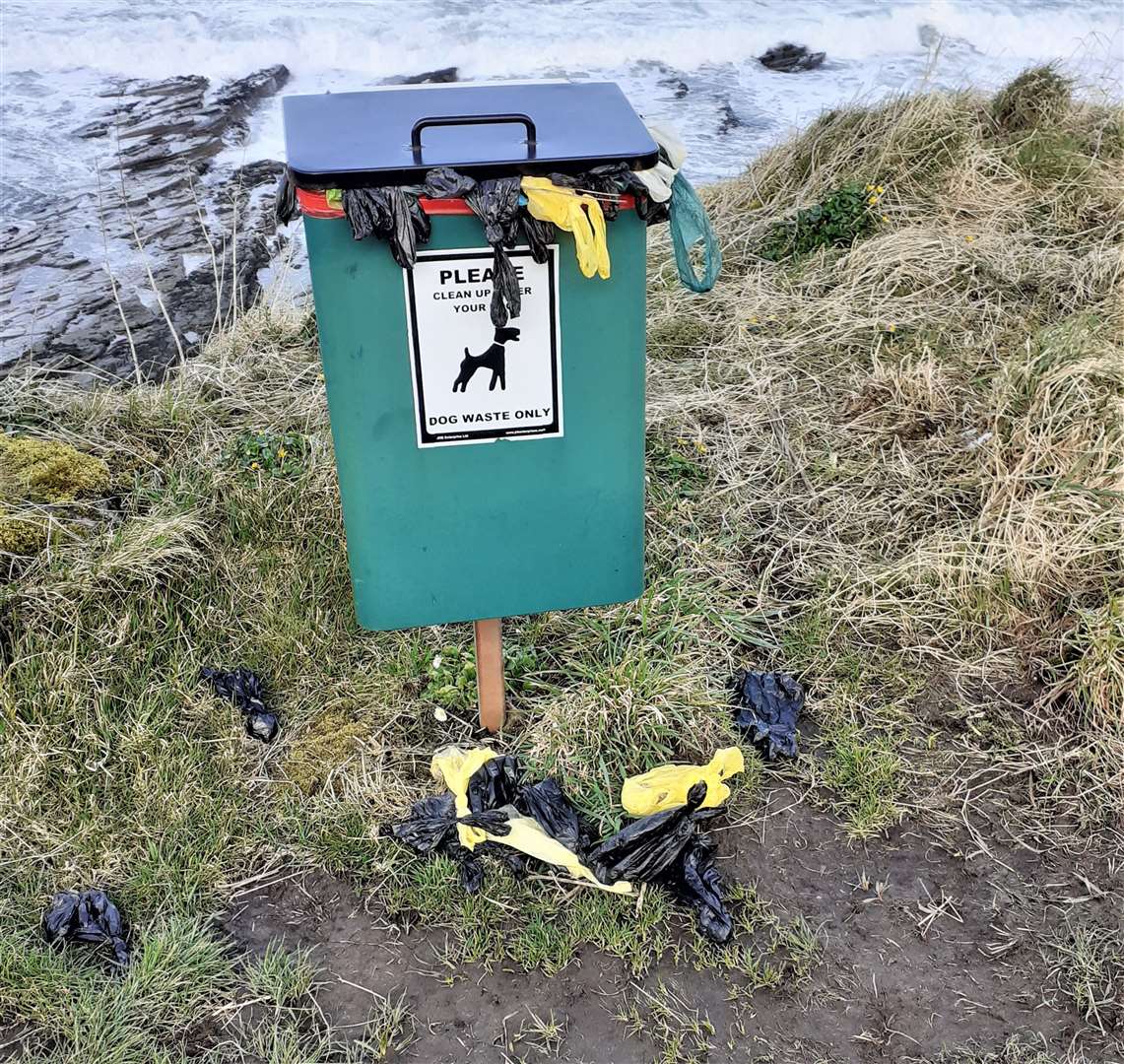 This dog waste bin on Victoria Walk in Thurso was flagged up as a health hazard. Picture: Alexander Glasgow