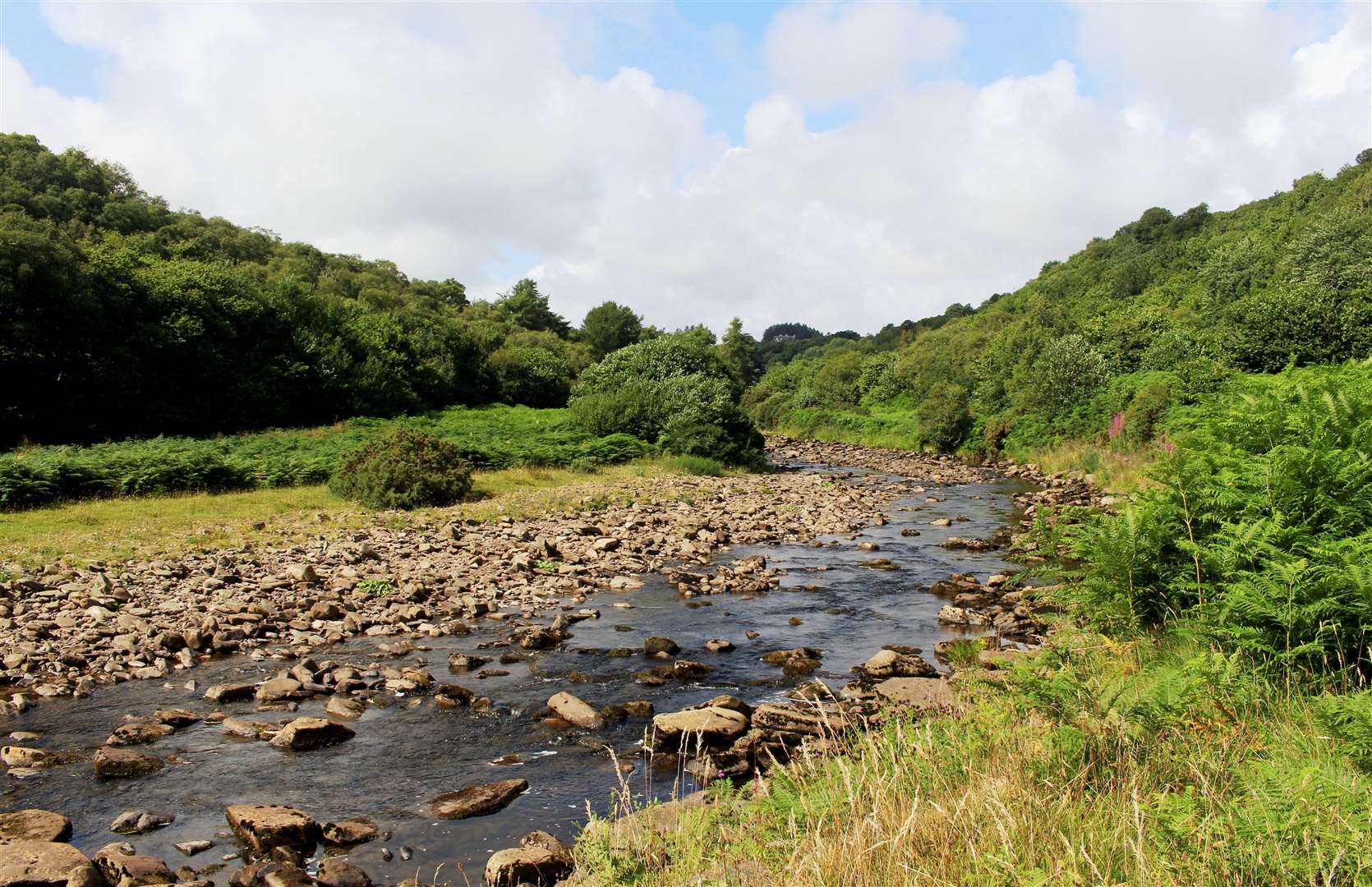 If approved, the new line of pylons will cut across part of the Dunbeath Strath. Picture: Alan Hendry