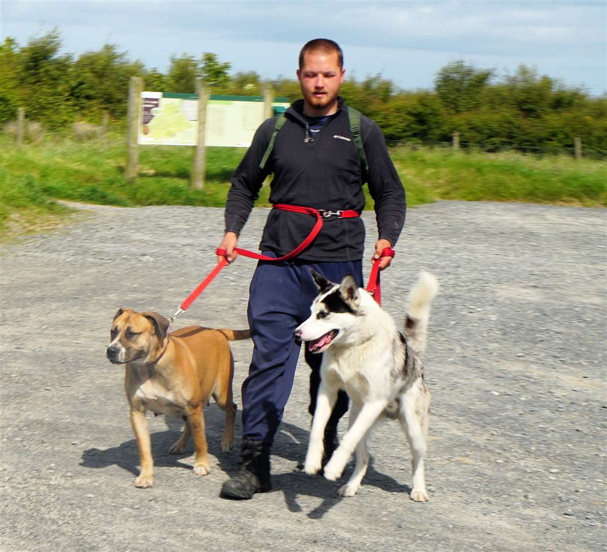 Jordan deflected accusations of animal cruelty by saying the dogs are loving the charity walk around the British coast. Picture: DGS