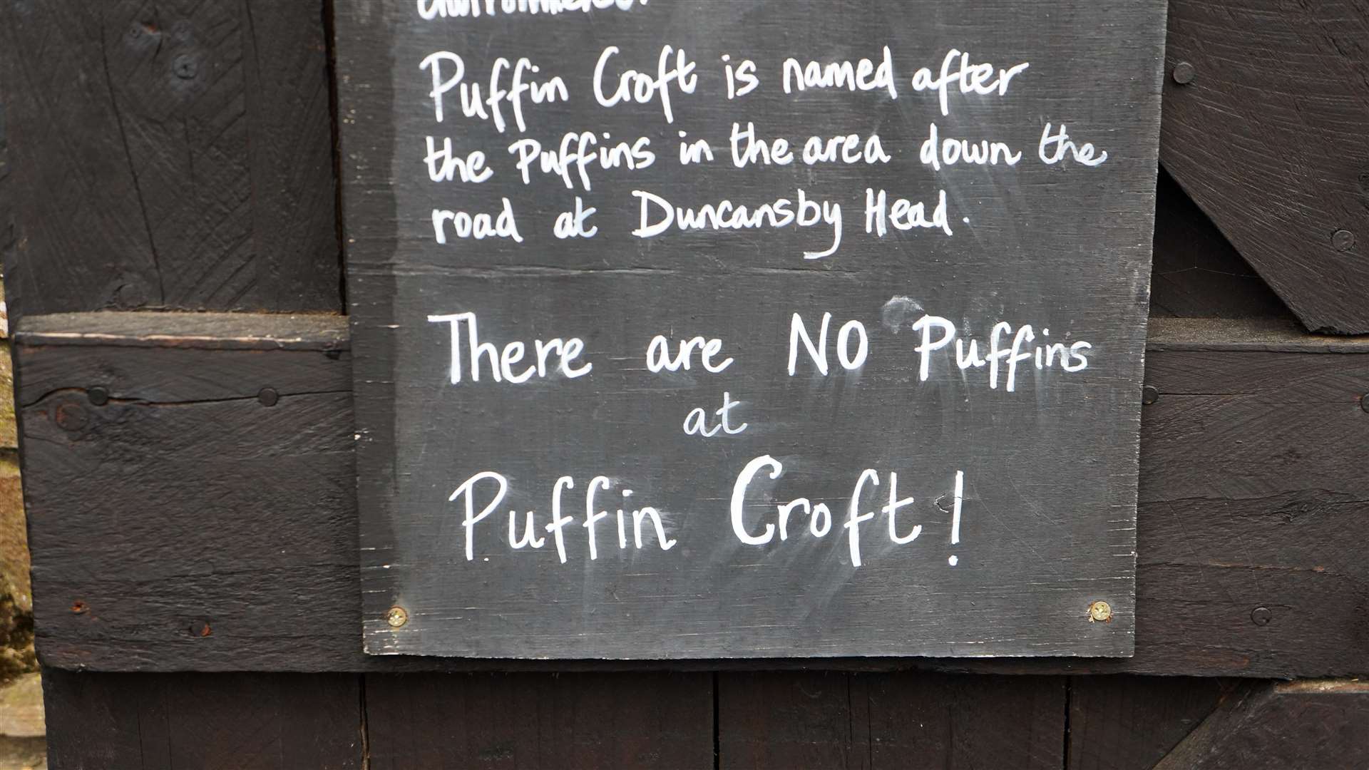 Cara had to put up this notice at Puffin Croft as a few visitors thought they would see puffins at the petting farm. Picture: DGS