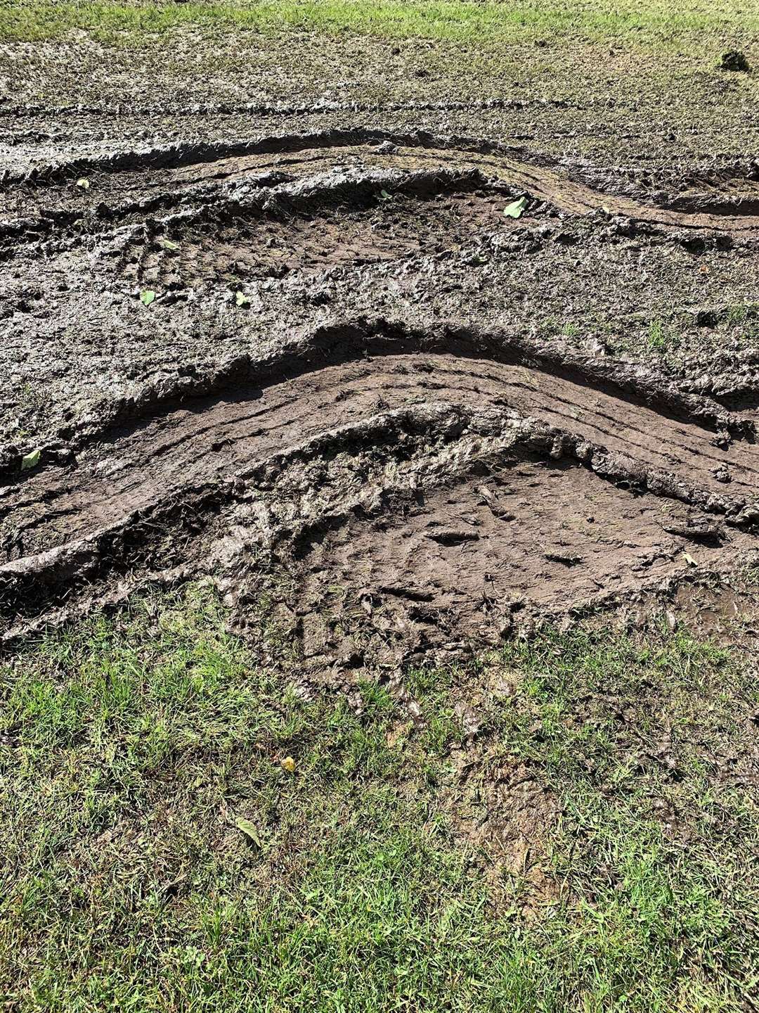 A close-up of a damaged section of turf.