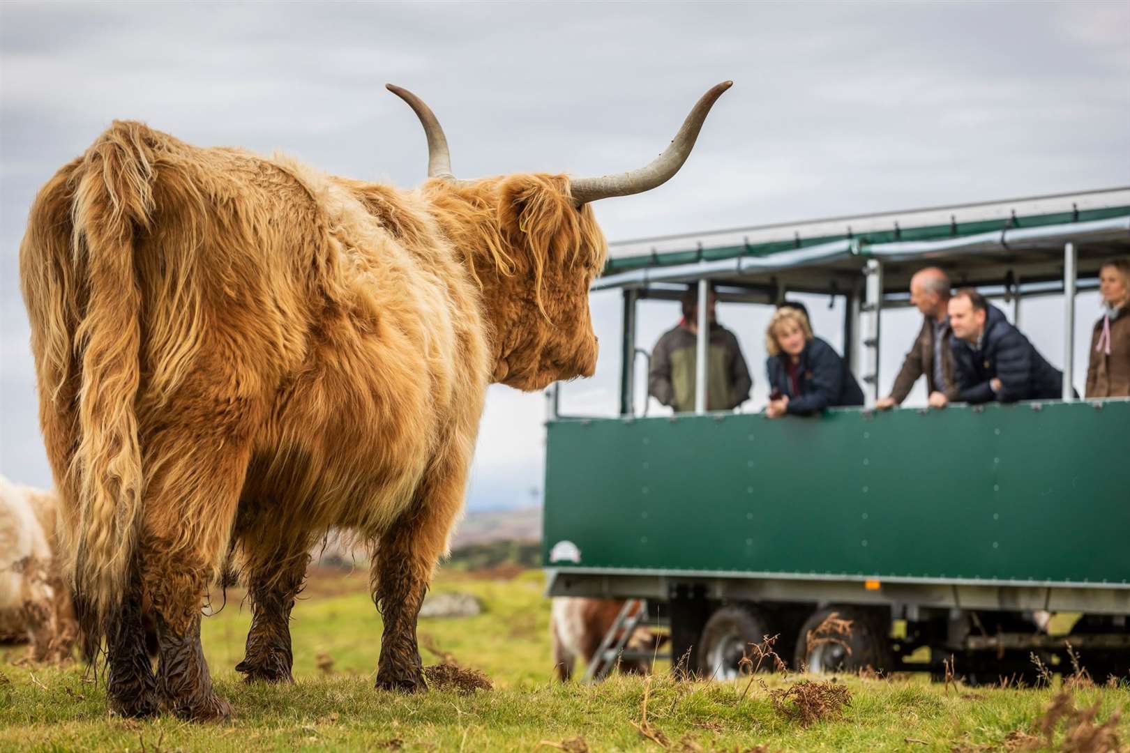 Agritourism in Scotland is an expanding sector offering a range of benefits. Picture: VisitScotland