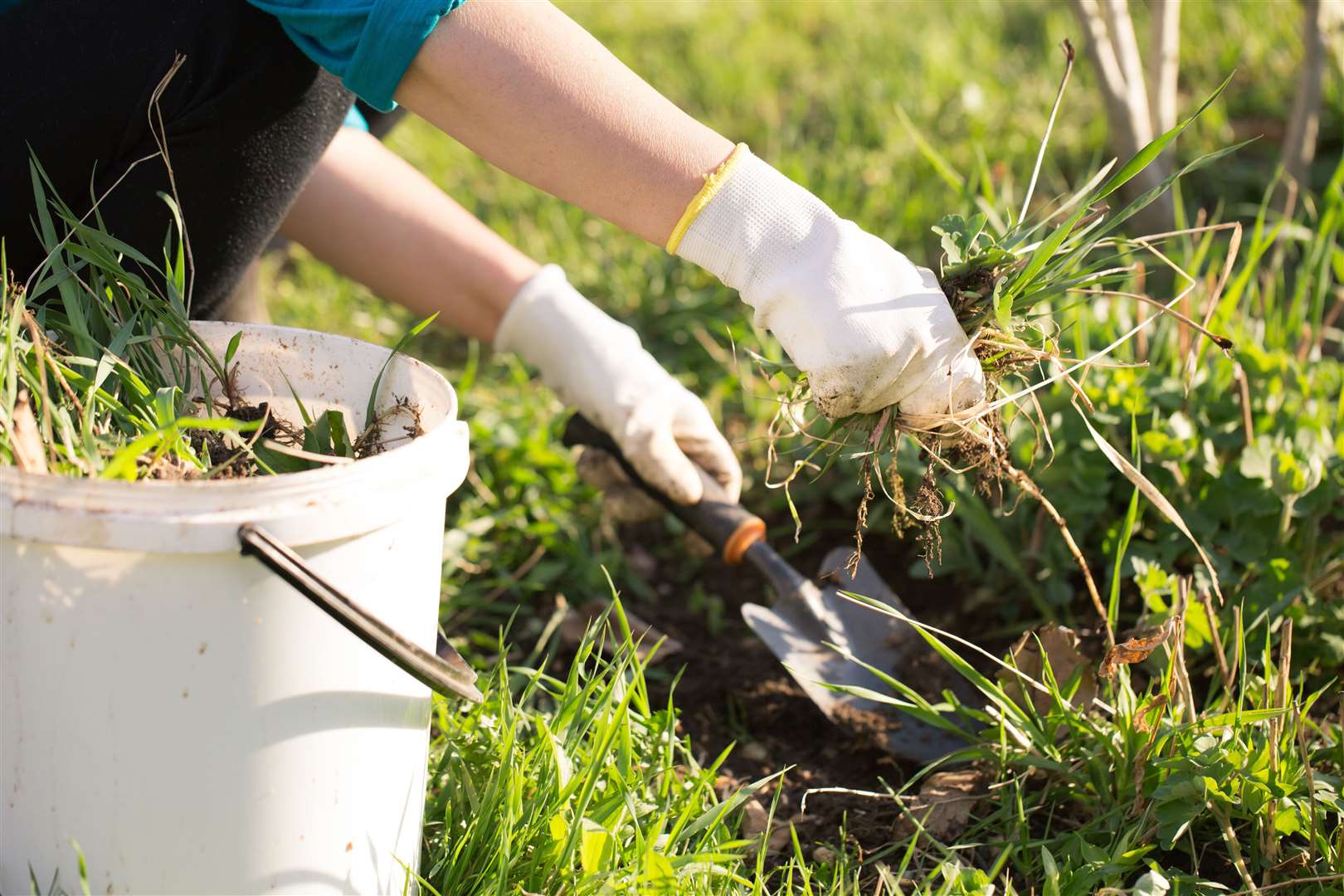 Something as simple as weeding in the garden can be good for your health and wellbeing.