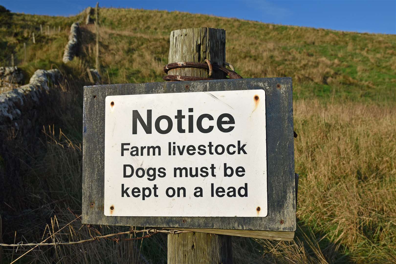Dog walkers are being called upon to act responsibly.