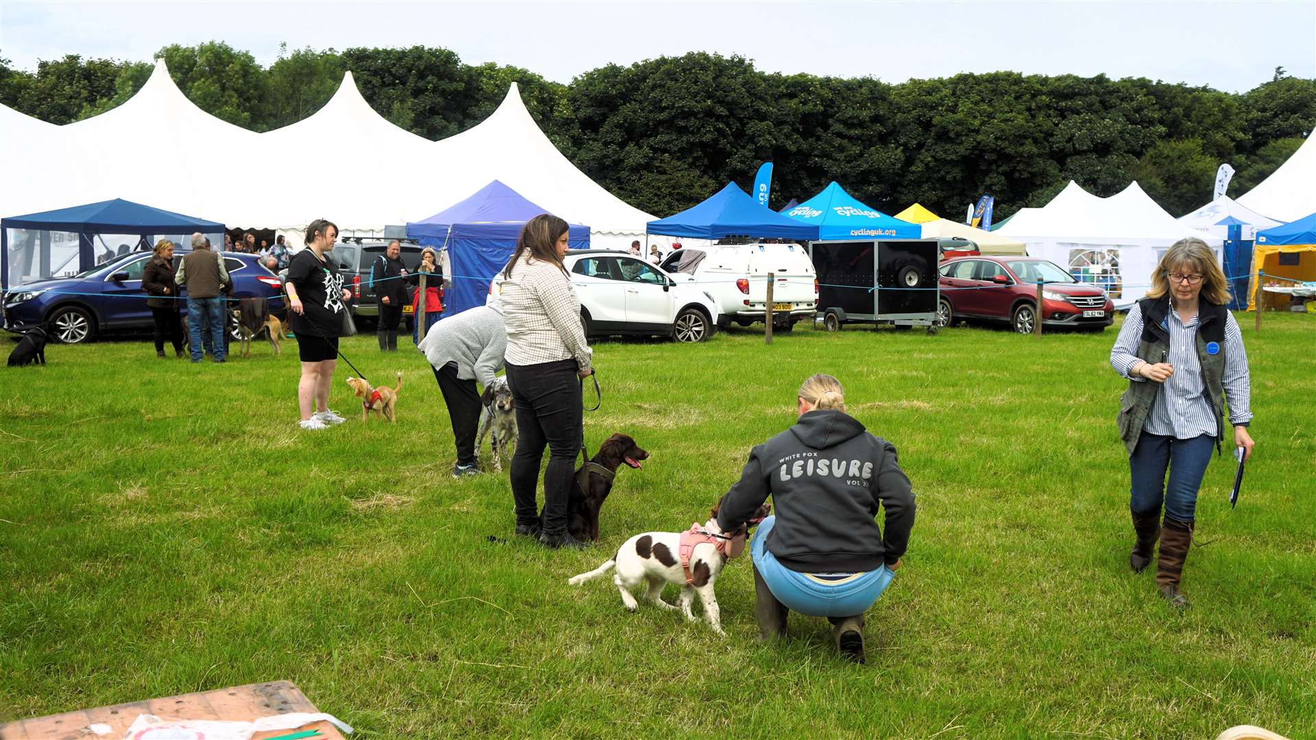 Dogs lined up to be judged. They're all winners in the eyes of their owners! Picture: DGS