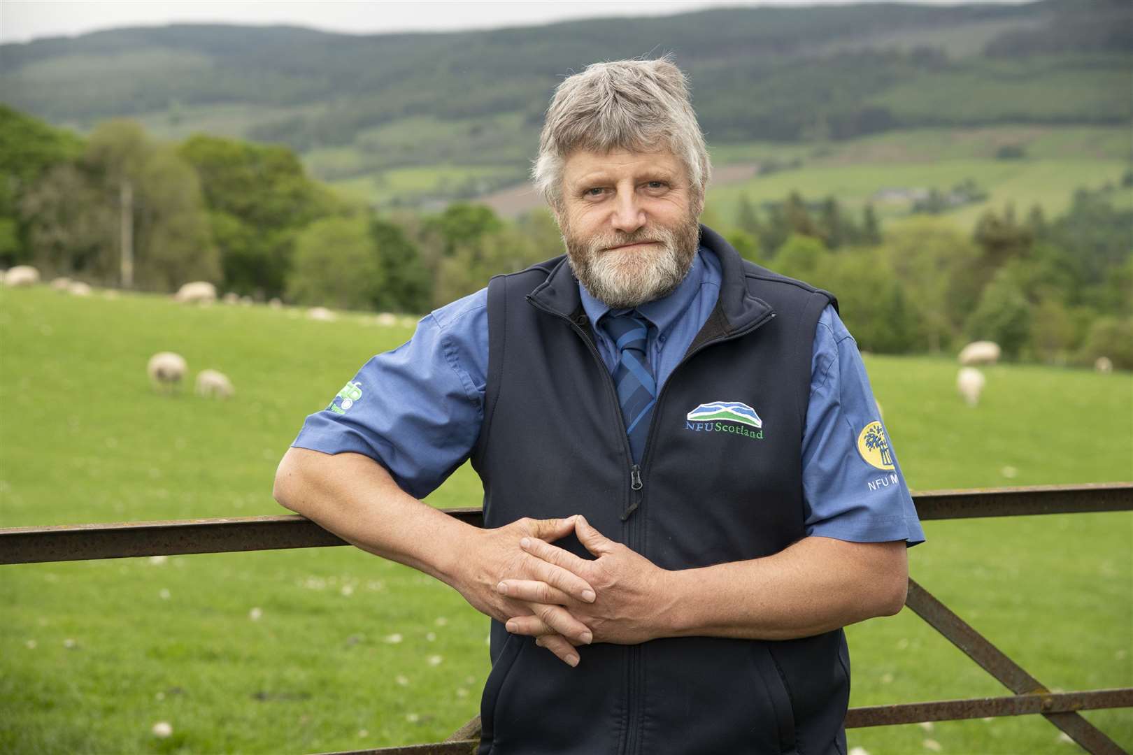 NFU Scotland president Martin Kennedy: 'We are working with hands tied behind our backs.' Picture: Paul Watt