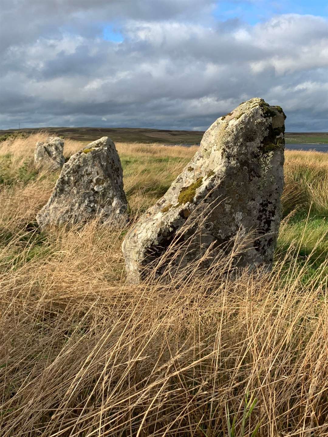 Achavanich standing stones - both writers shared a fascination in our pre-history.