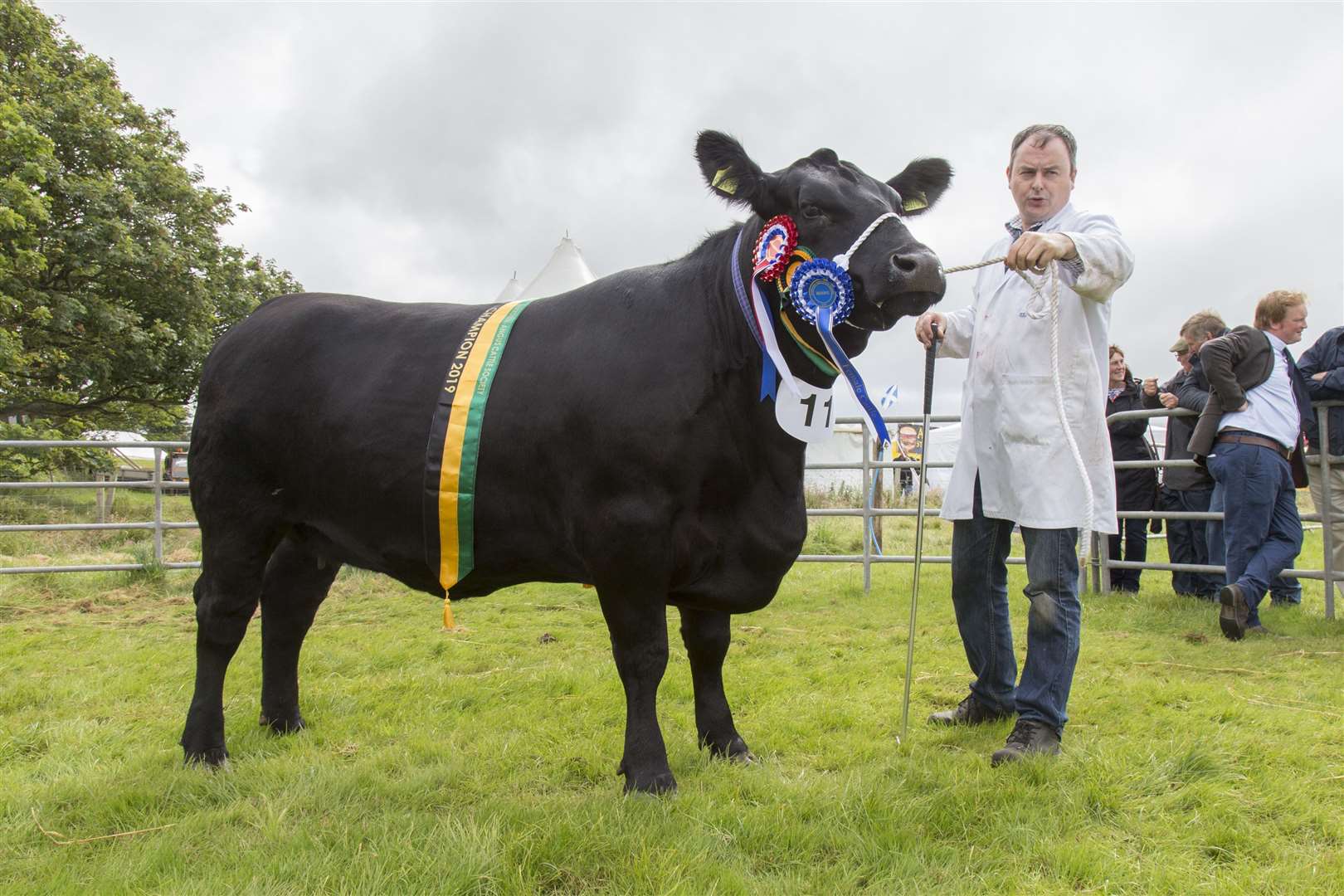 Jonathon Gunn, of J & J Gunn, Mavsey, Lybster, with the Aberdeen Angus champion, Tonley Ester. Picture: Ann-Marie Jones / Northern Studios