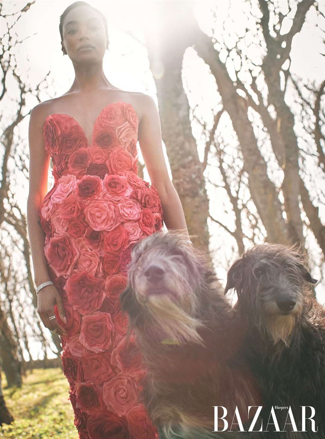 Jourdan takes the three deerhounds for a walk around the castle's grounds. Picture: Harper’s Bazaar UK/Richard Phibbs