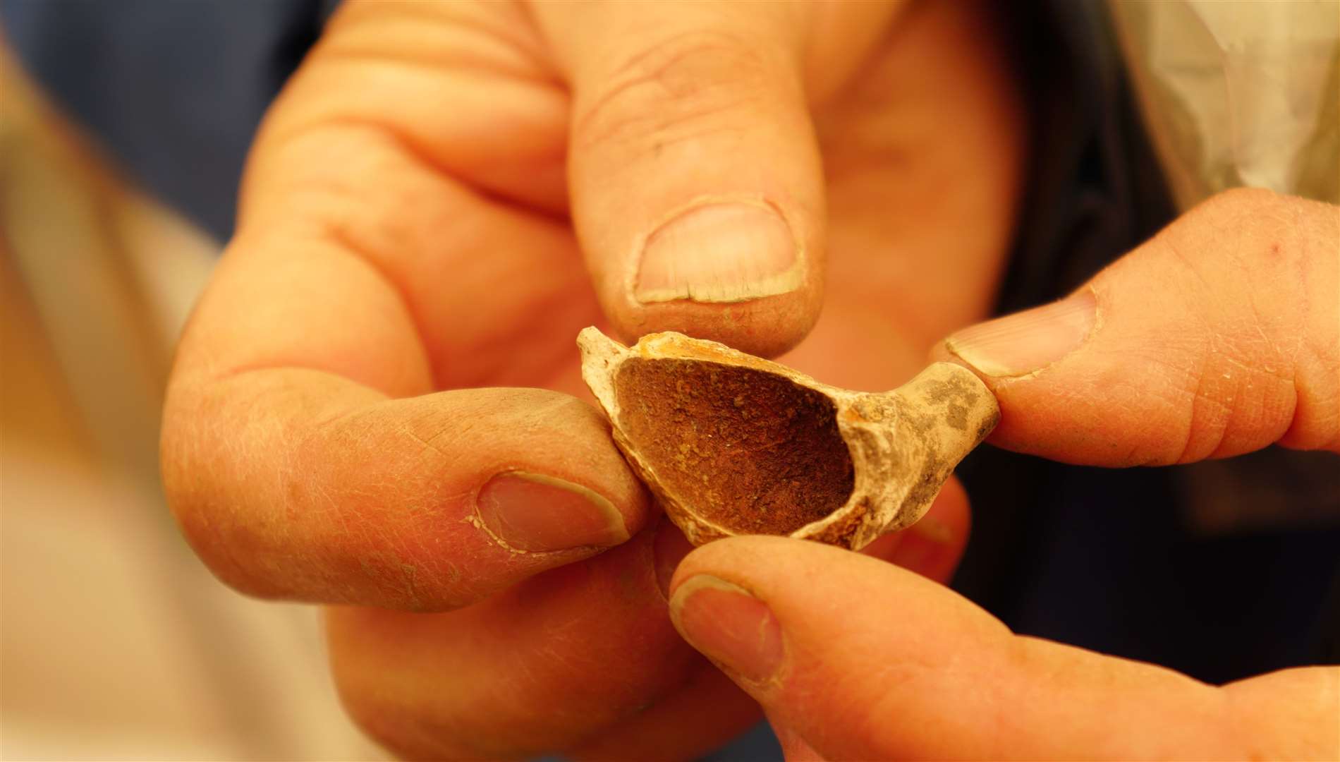 A clay pipe bowl. Picture: DGS