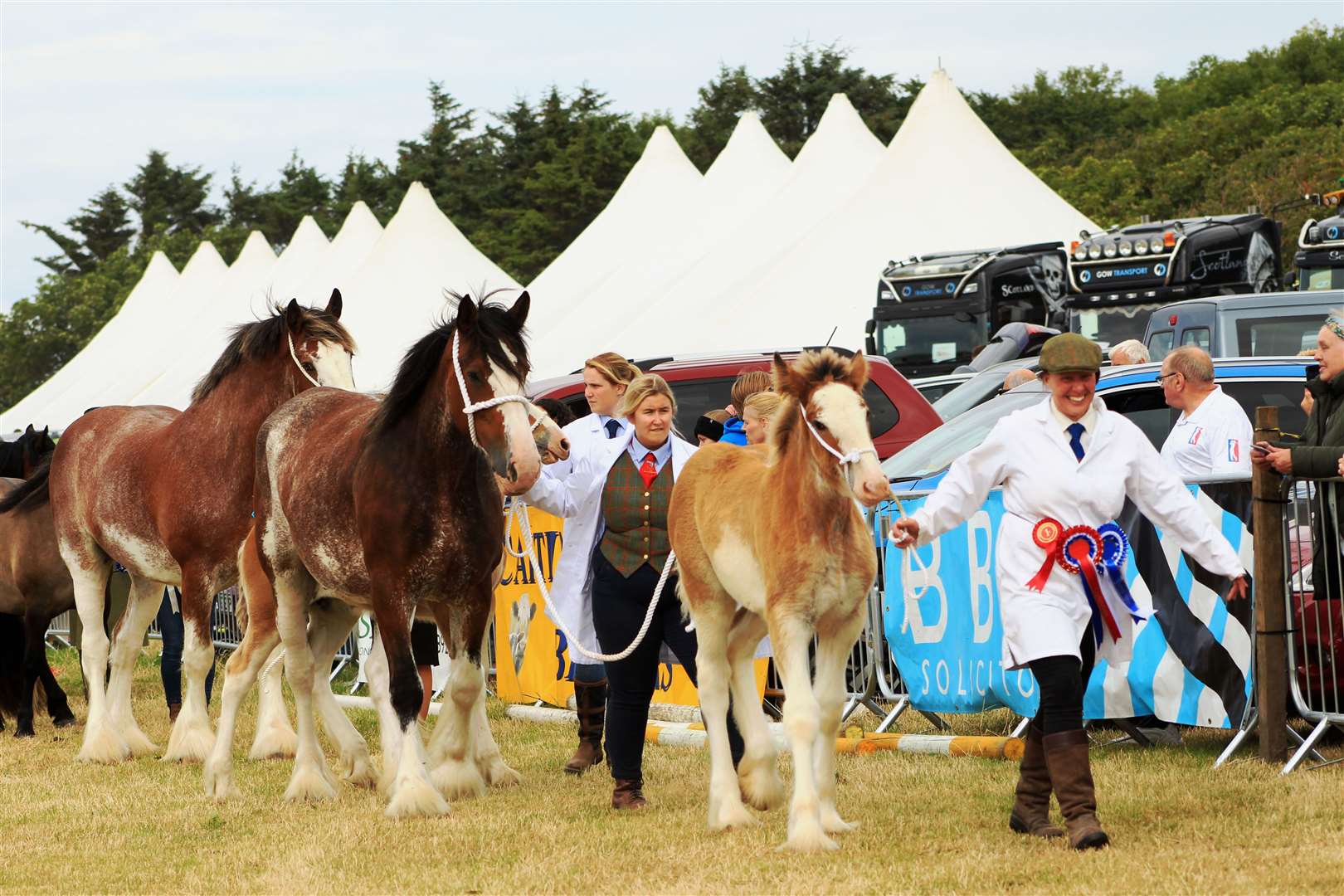 Clydesdale entries on parade in the main ring. Picture: Alan Hendry
