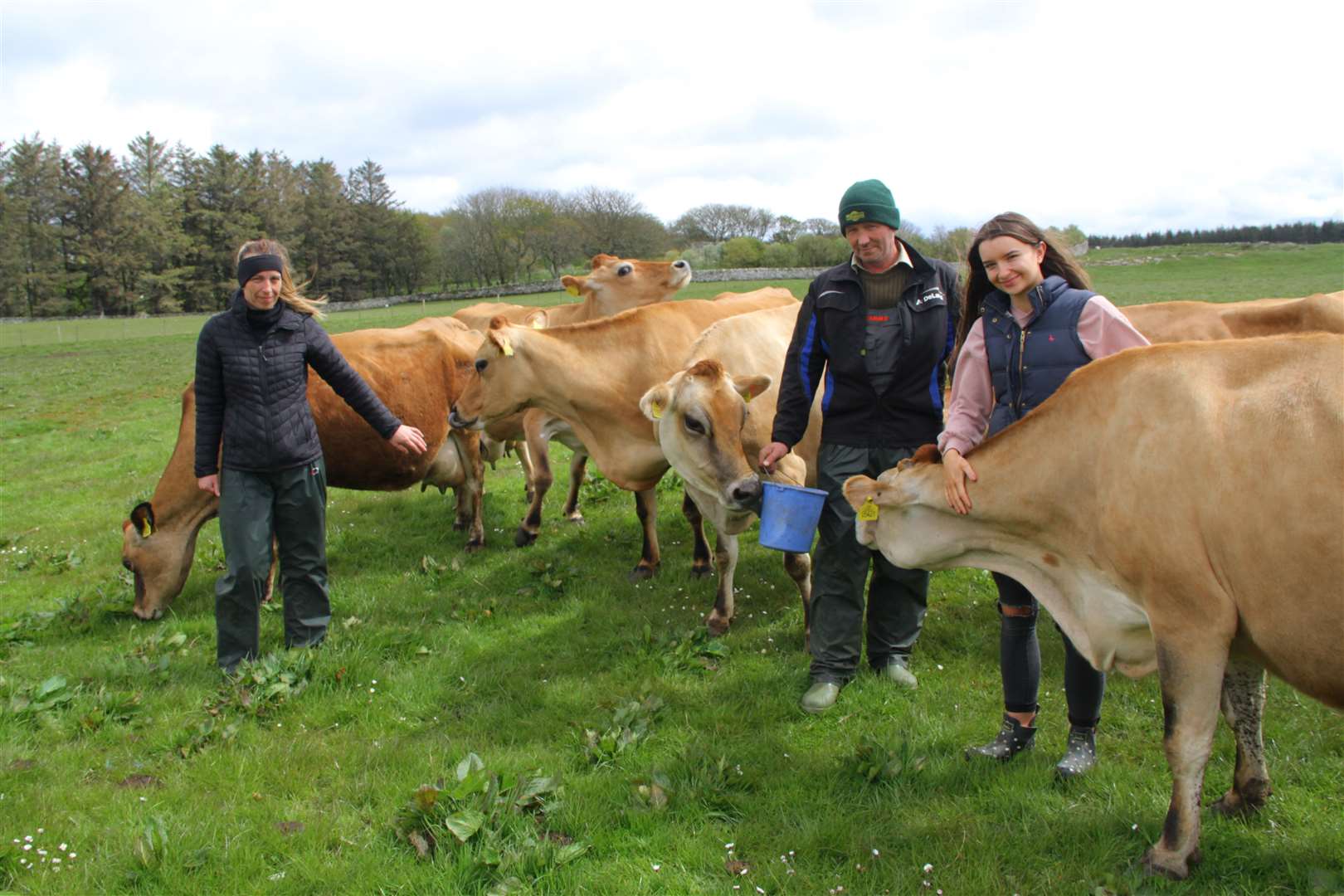 David Campbell checks some of the Jersey cattle as they come in for milking along with his daughter Faith (right) and wife Lesley. Picture: Willie Mackay