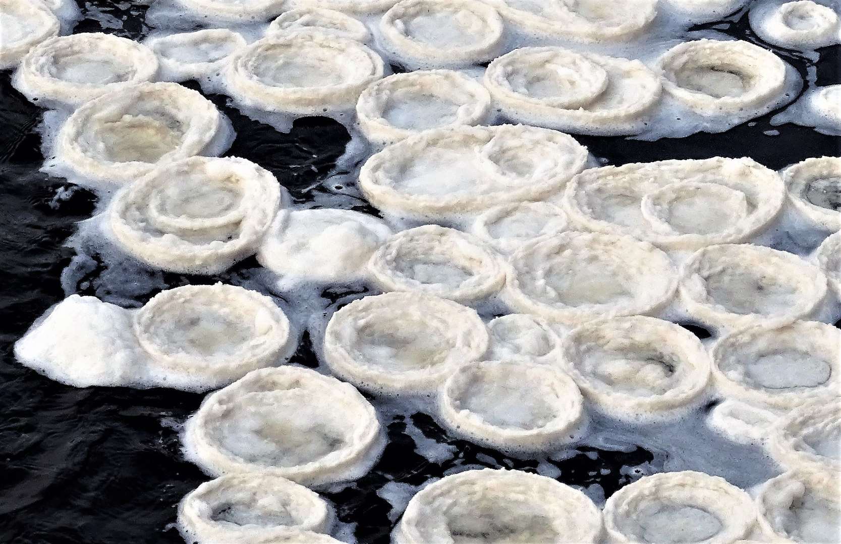 The rare phenomenon can lead to many ice pancakes accumulating in areas where there is water movement and subzero temperatures. The icy discs have also been compared to lily pads.