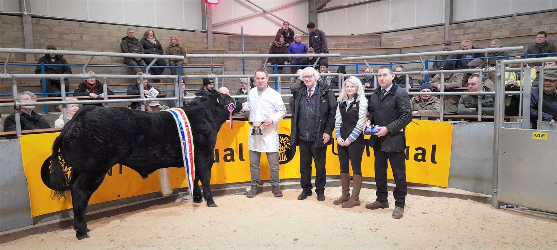 Gordie Begg with his open champion, a Limousin cross bullock, at Quoybrae mart's Christmas show and sale, along with buyer Murray Lamont of Mackays Hotel, Lynn Sinclair from NFU Mutual, sponsor of the class, and judge Gary Raeburn.