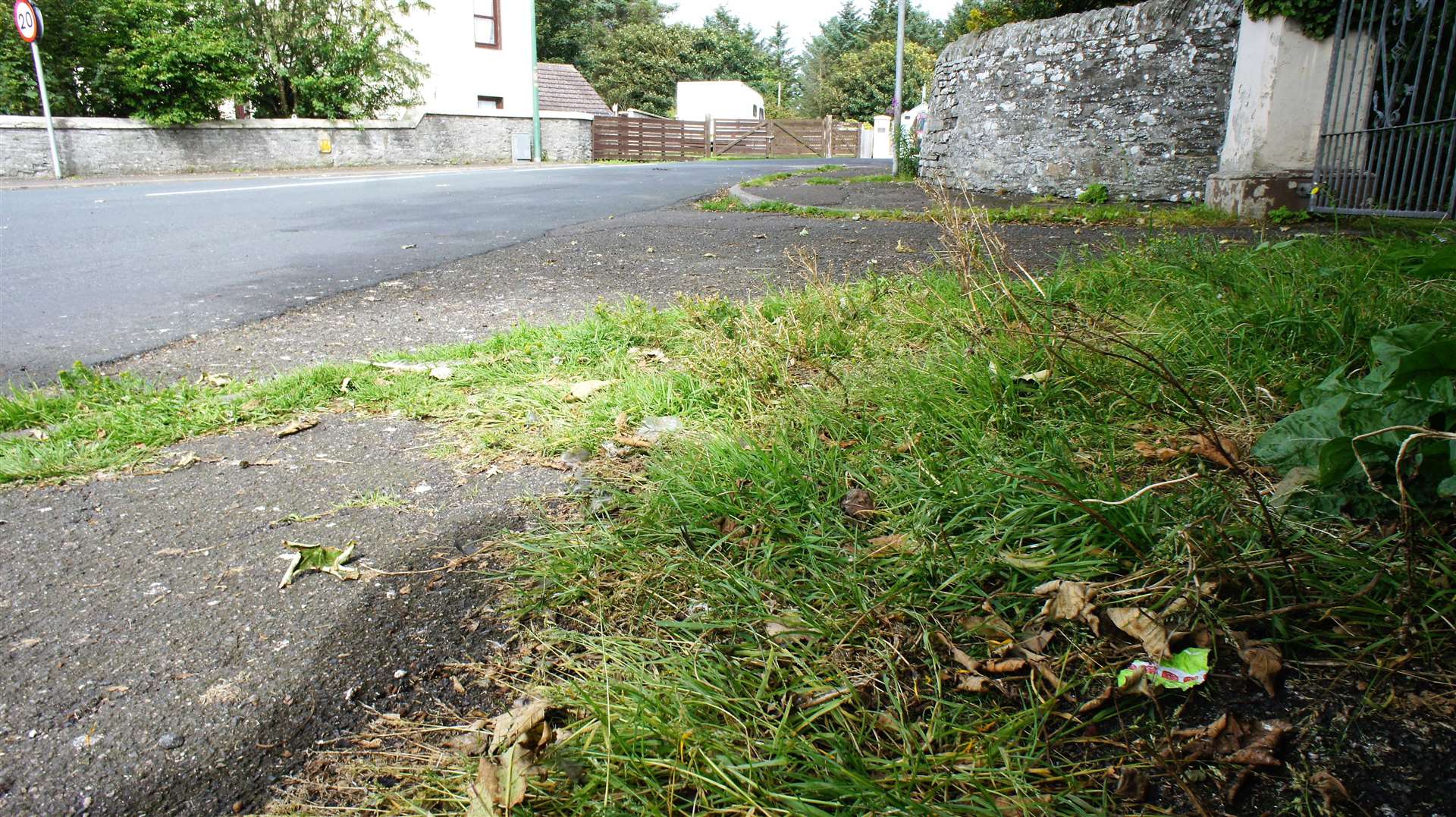 Large area of grass growing on George Street in Wick.