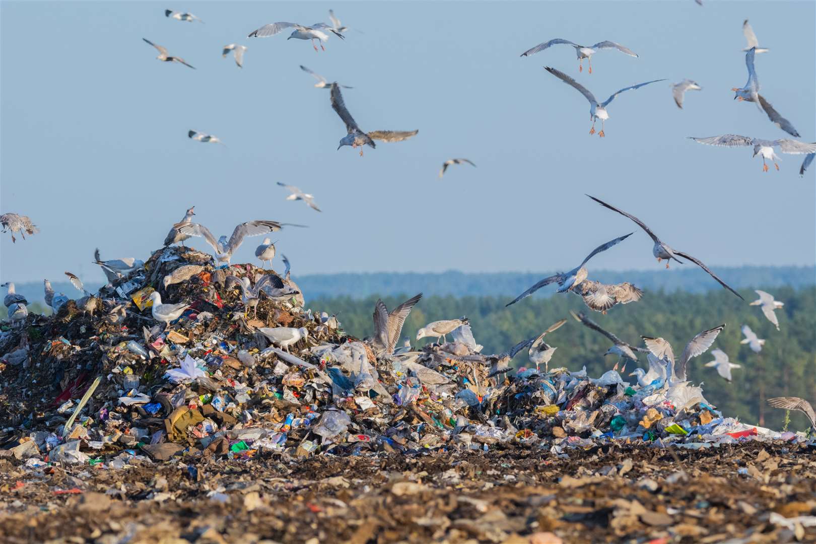 Zero Waste Scotland is highlighting the hidden threat posed by food waste.