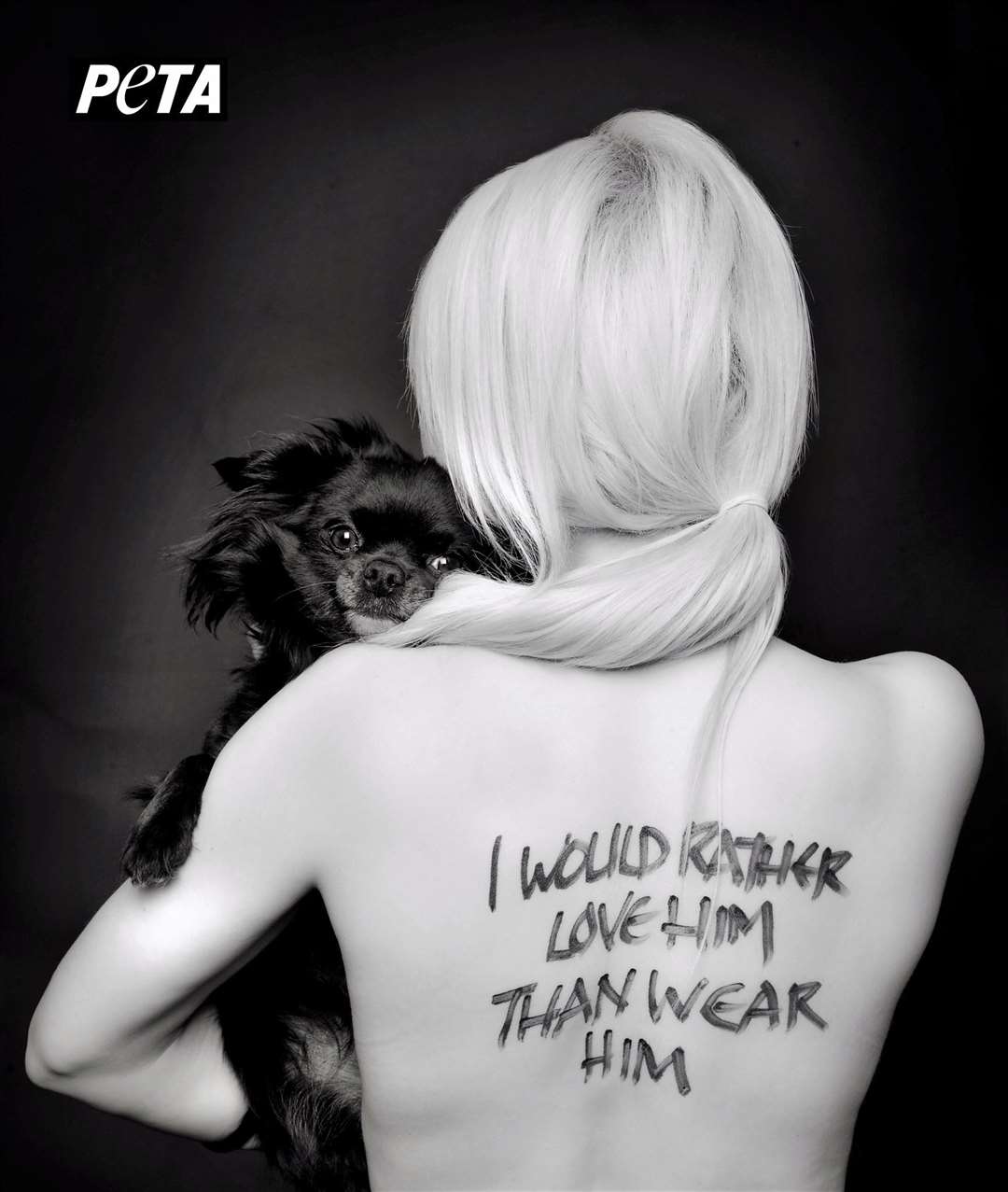 Natalie modelled for a Peta anti-fur campaign some years ago with her faithful companion Louis the chihuahua.