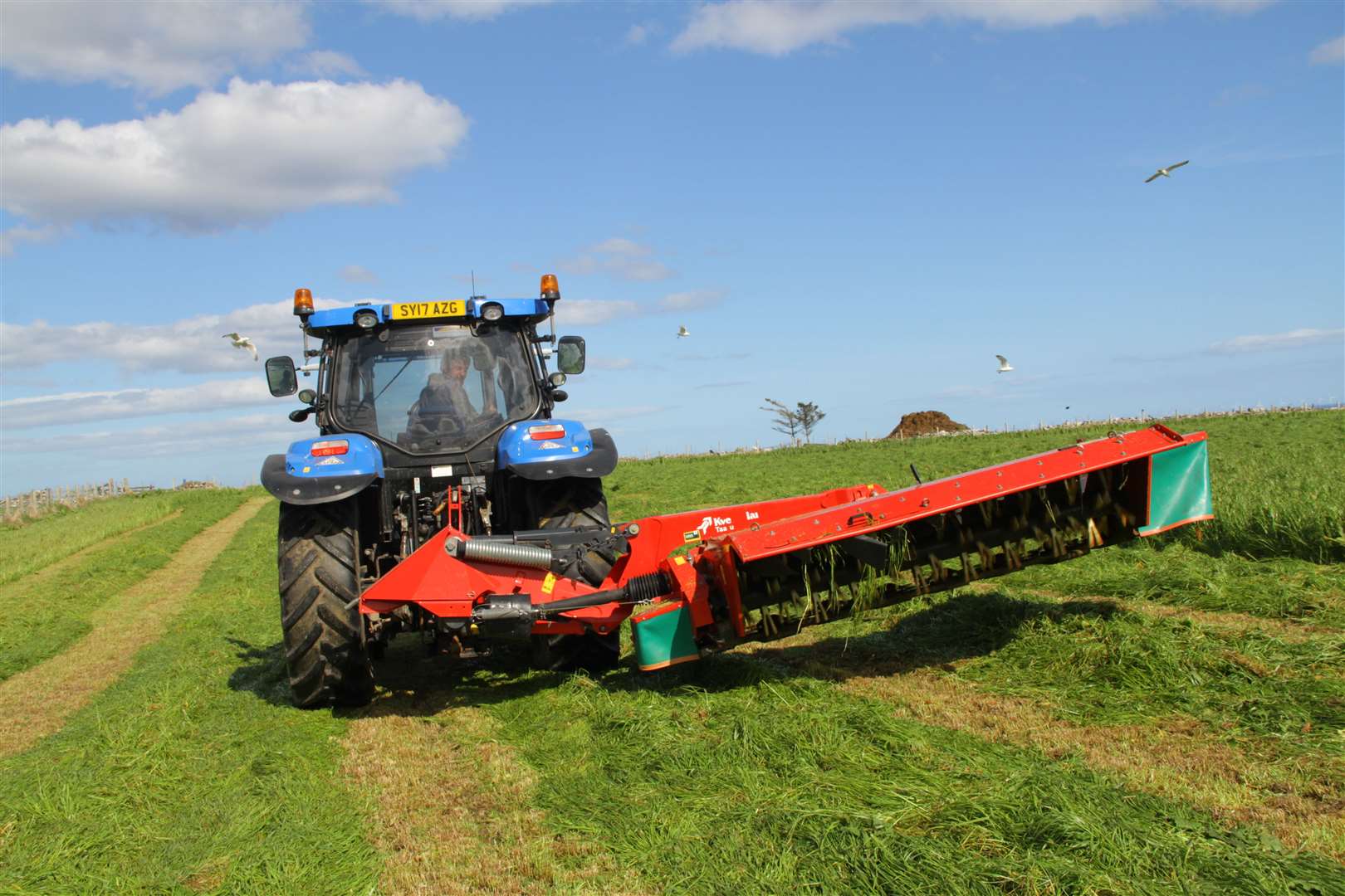 Euan Grant, contracting services, driving a New Holland tractor with a Kverneland 10ft mower making a start on silage operations for Graham Sutherland, of Occumster, Lybster. Picture: Willie Mackay