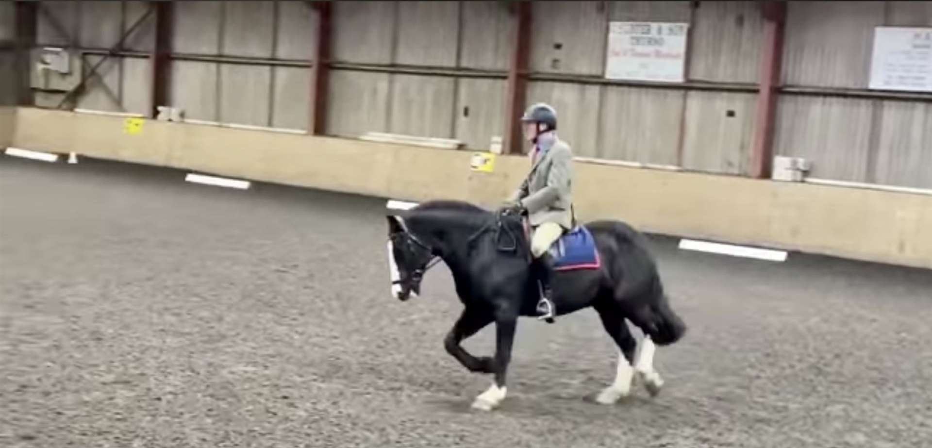 Russell Skelton and his cob Riley at a previous dressage league competition.
