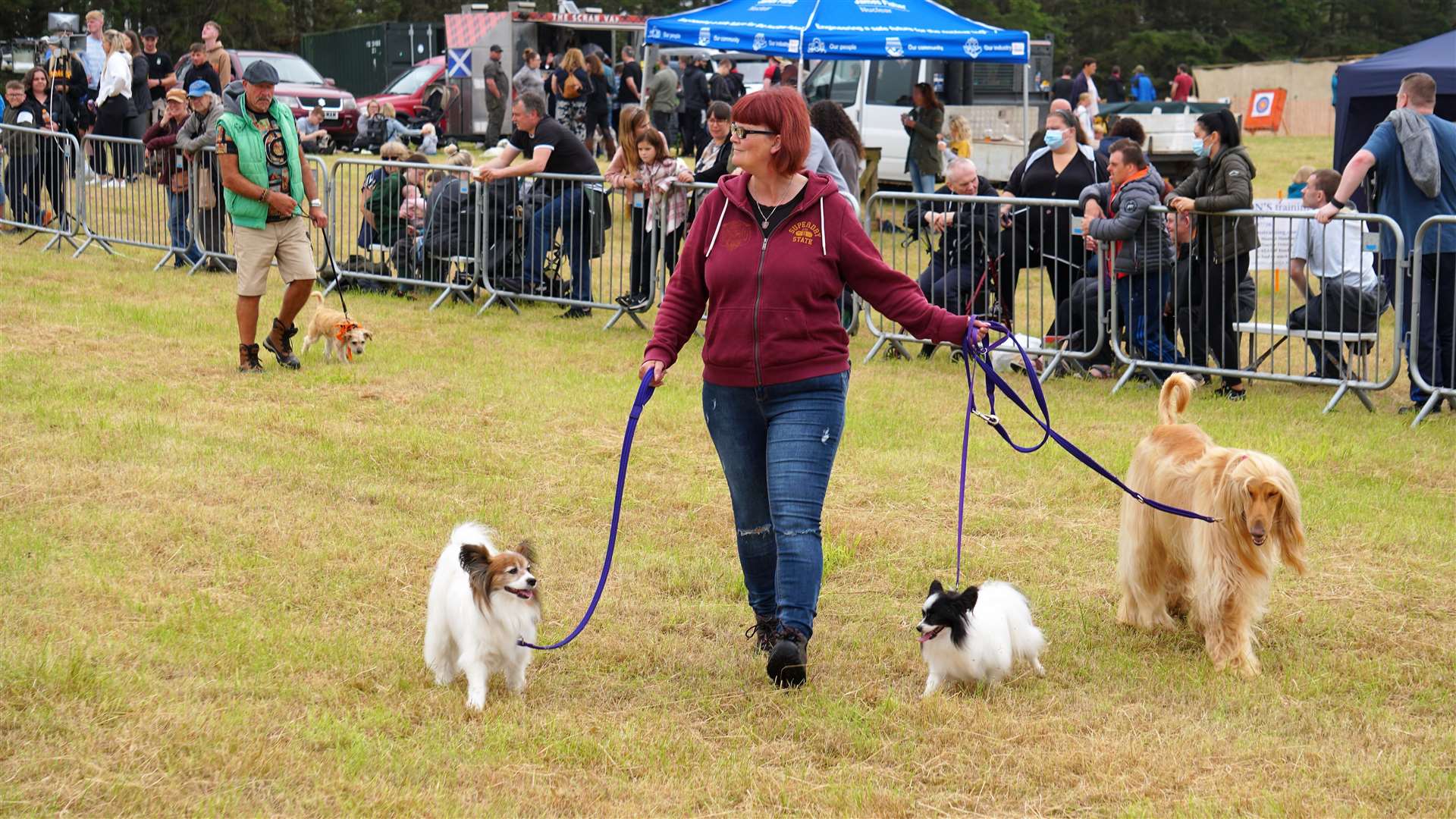 Breeds of every shape and size were represented on the field for the various dog competitions. Picture: DGS