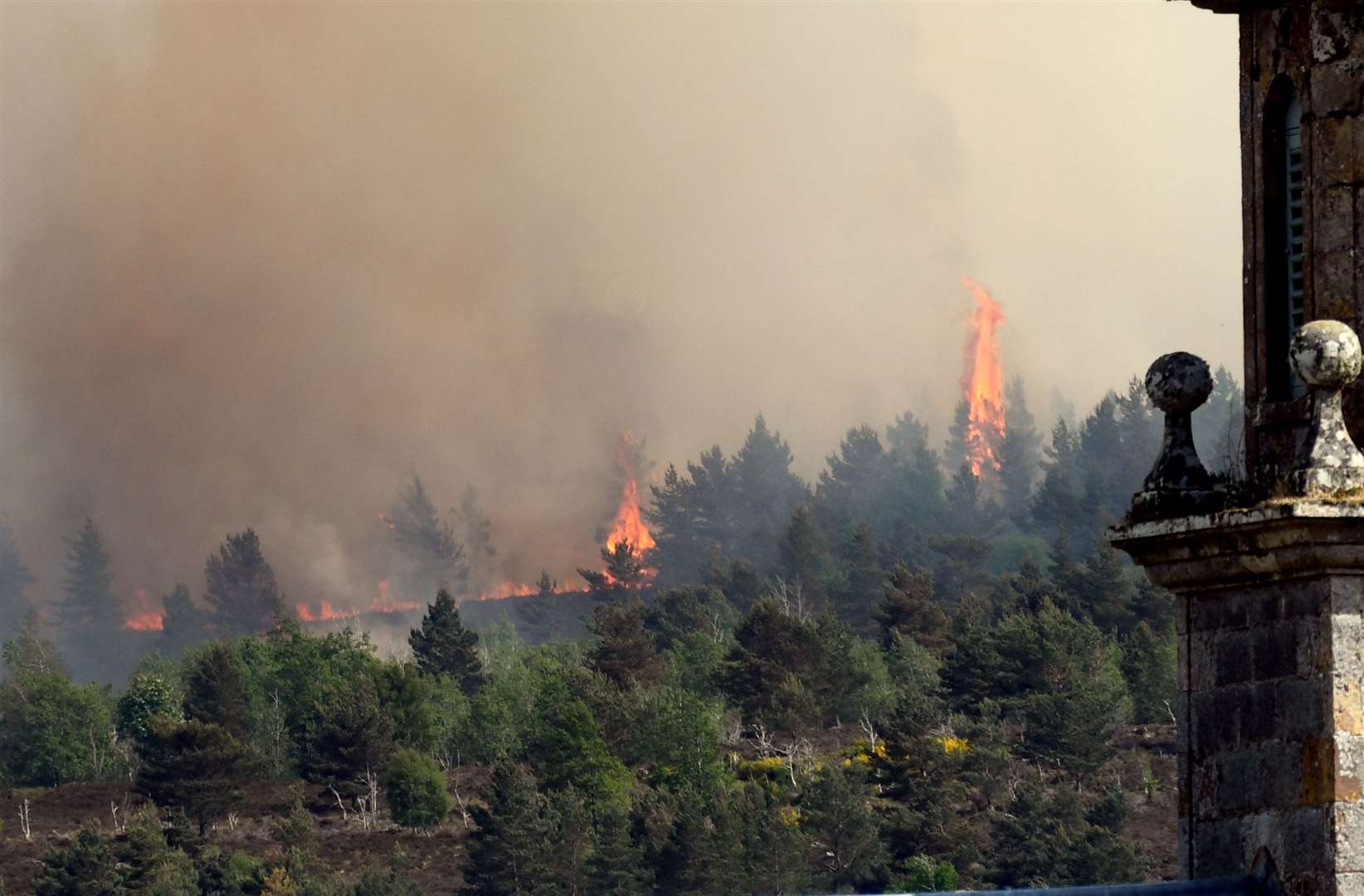 Flames above the trees at last weekend’s Daviot wildfire