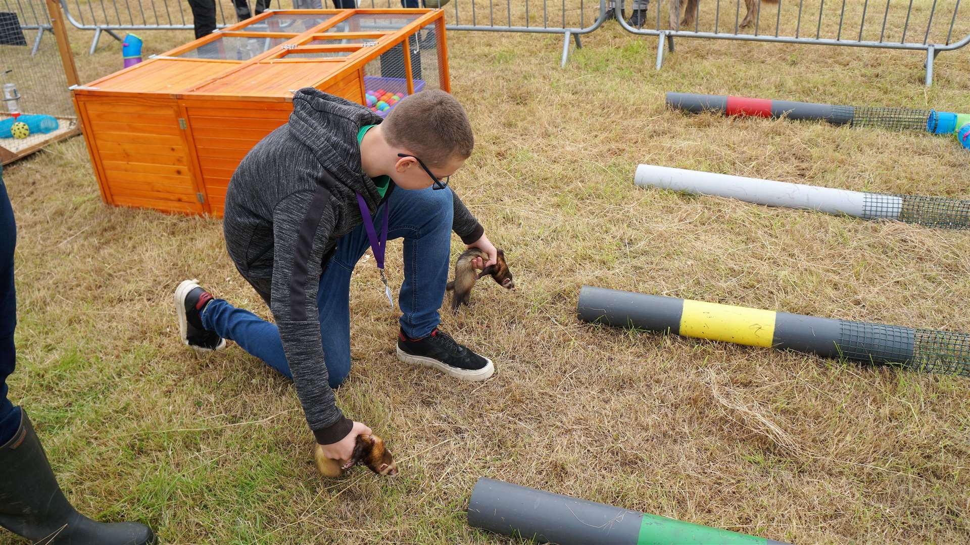 Ferret racing at Thrumster Game and Countryside Fair. Picture: DGS