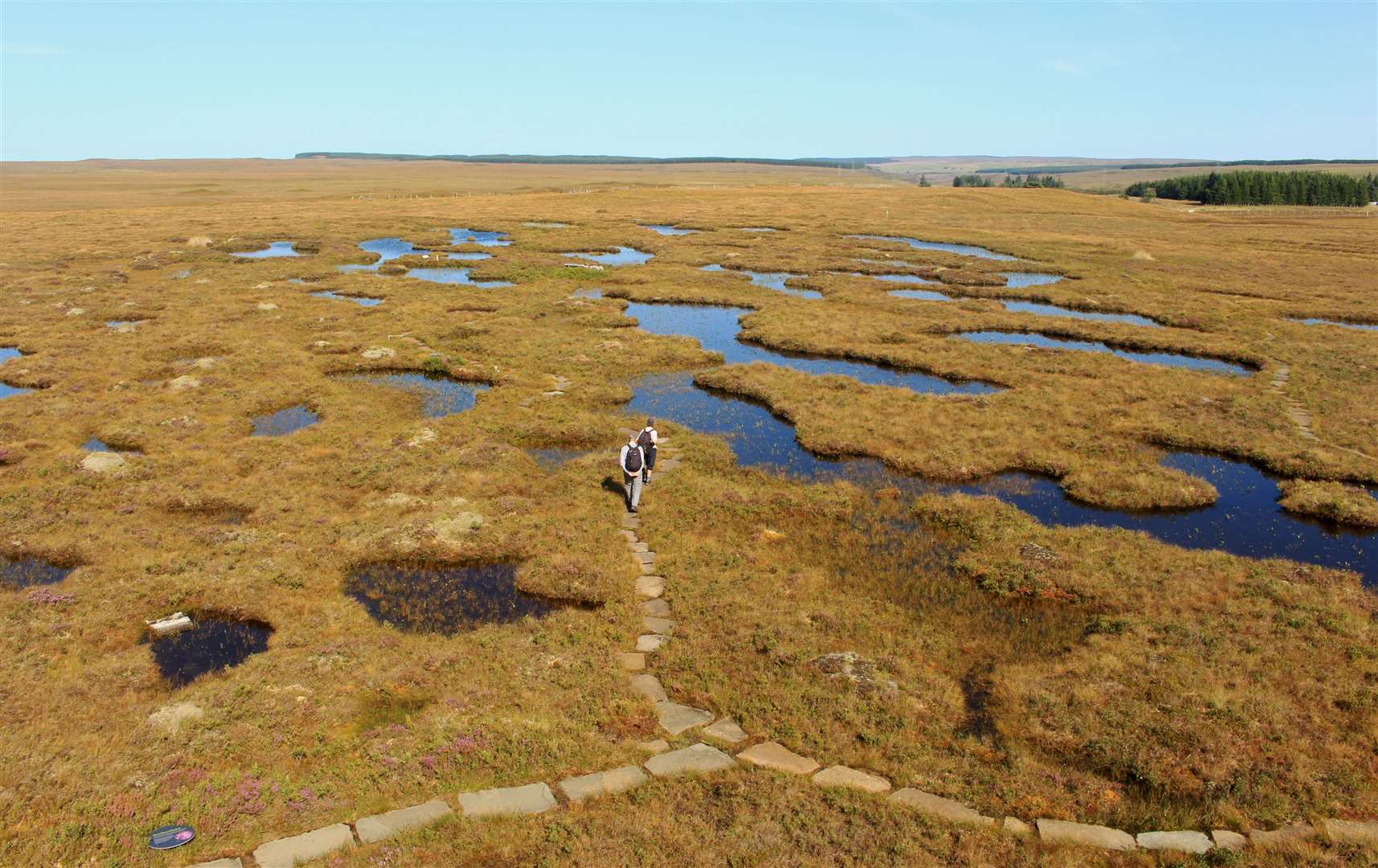 The Flow Country is the largest expanse of blanket bog in Europe. Picture: Alan Hendry