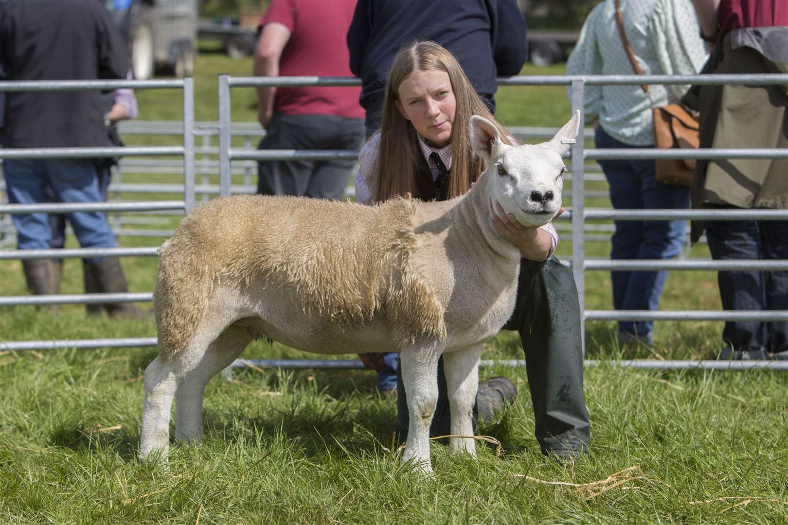 Sophie Gunn with the champion Texel from Angus Gunn. This end of February-born ewe lamb is by Mellor Vale Firecracker. Picture: Robert MacDonald / Northern Studios