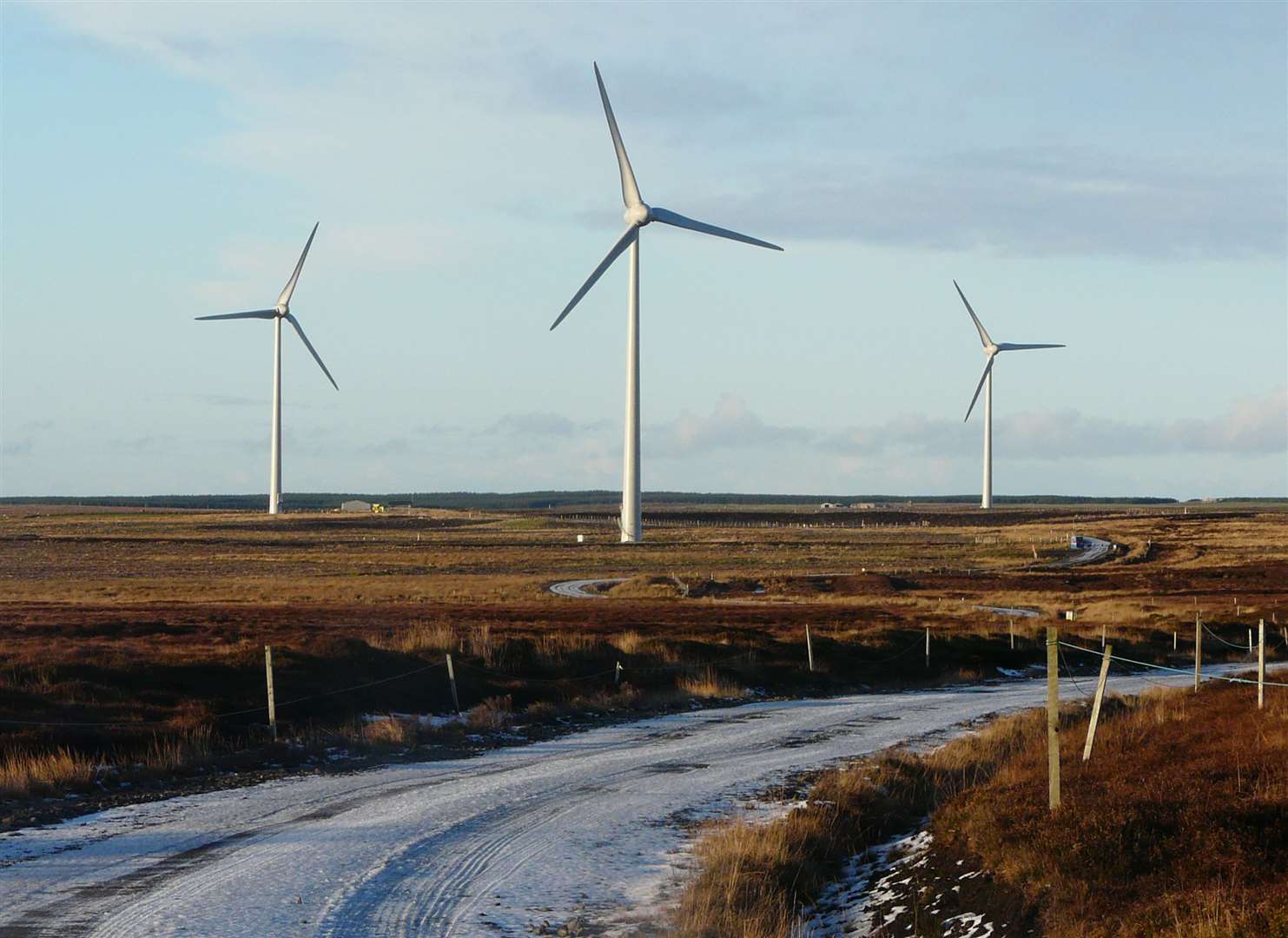 Stroupster wind farm. Picture: Alan Hendry