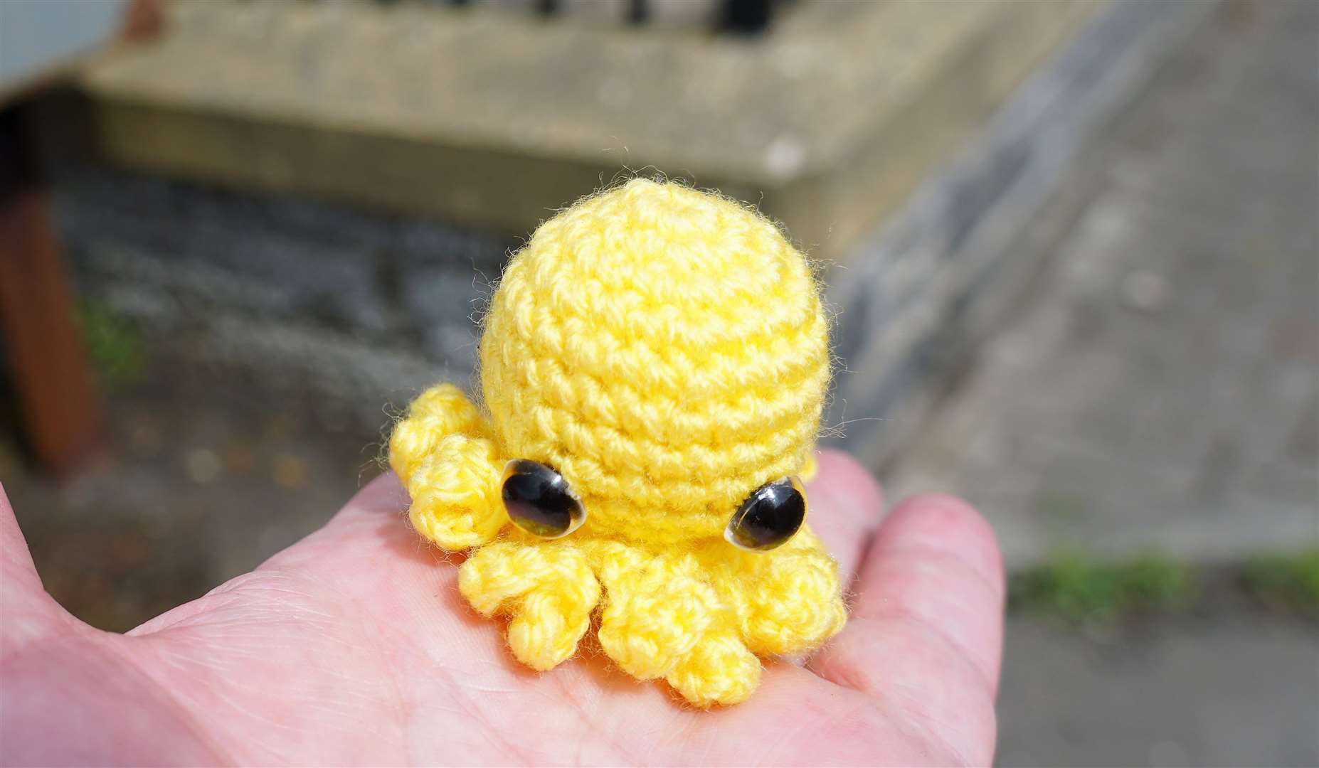 Would Trading Standards really pull apart items like this little octopus gonk made by a young child? Picture: DGS
